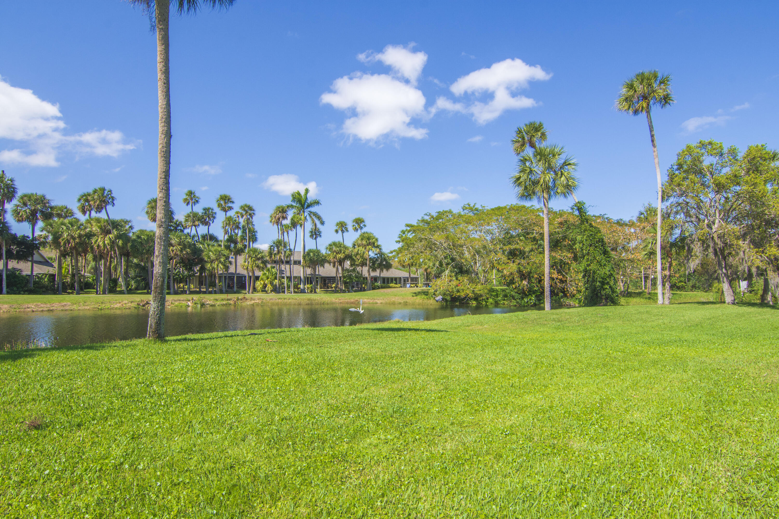 66 Woodland Drive 204