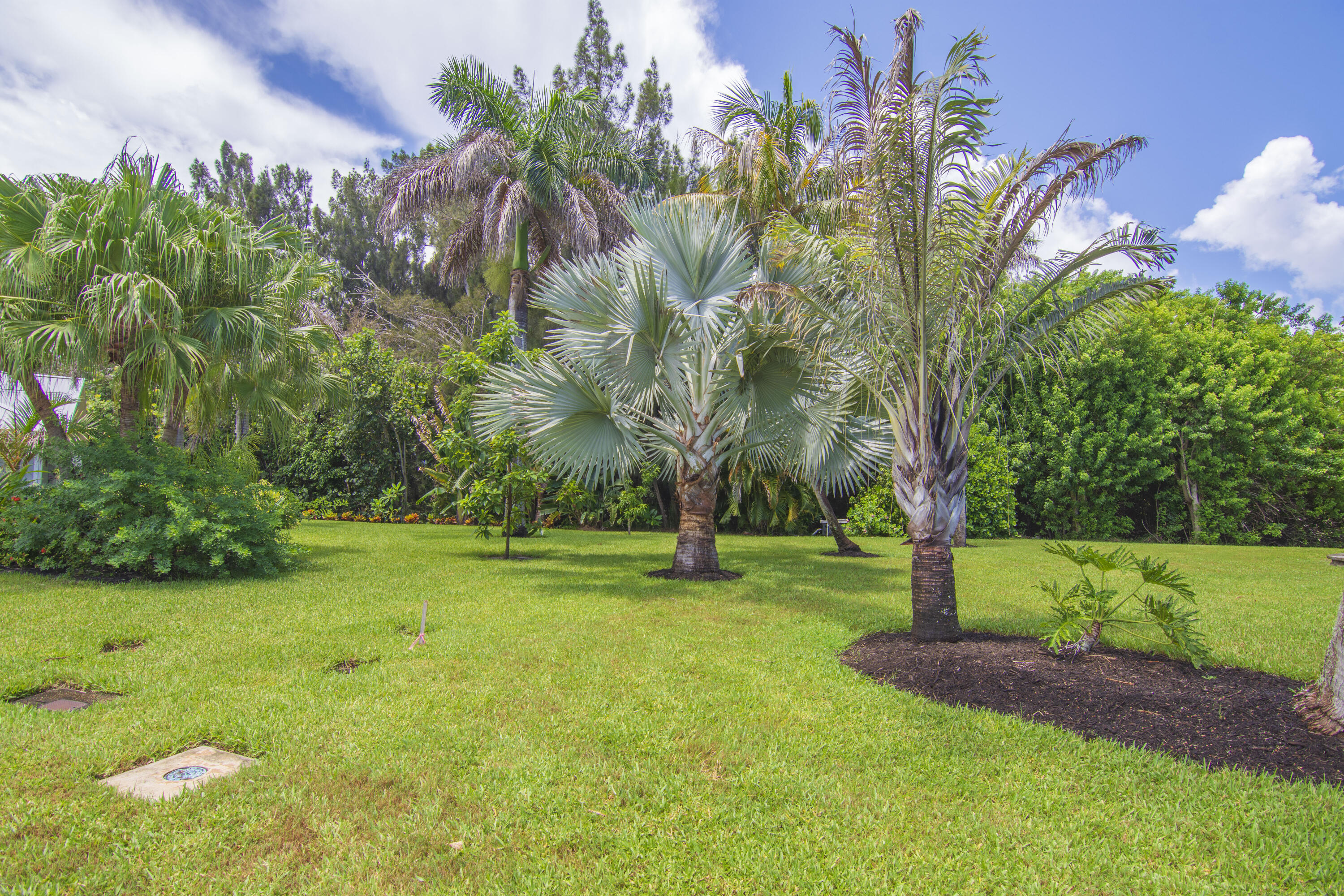 320 W FOREST Trail