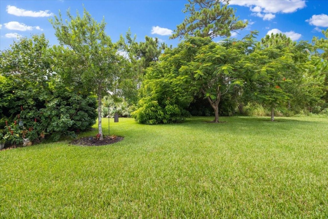 654 Gossamer Wing Way