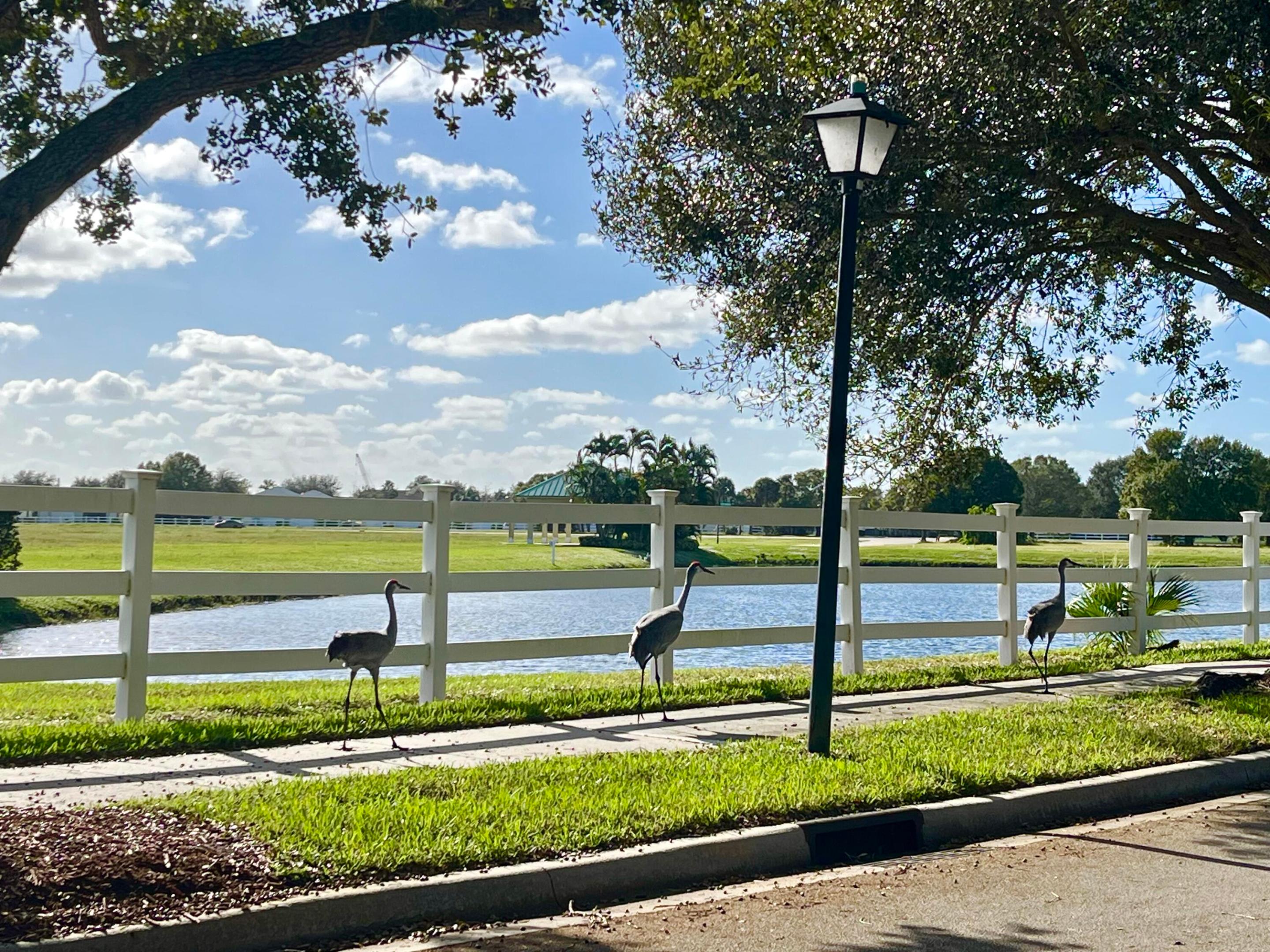 1612 W Pointe West Way W