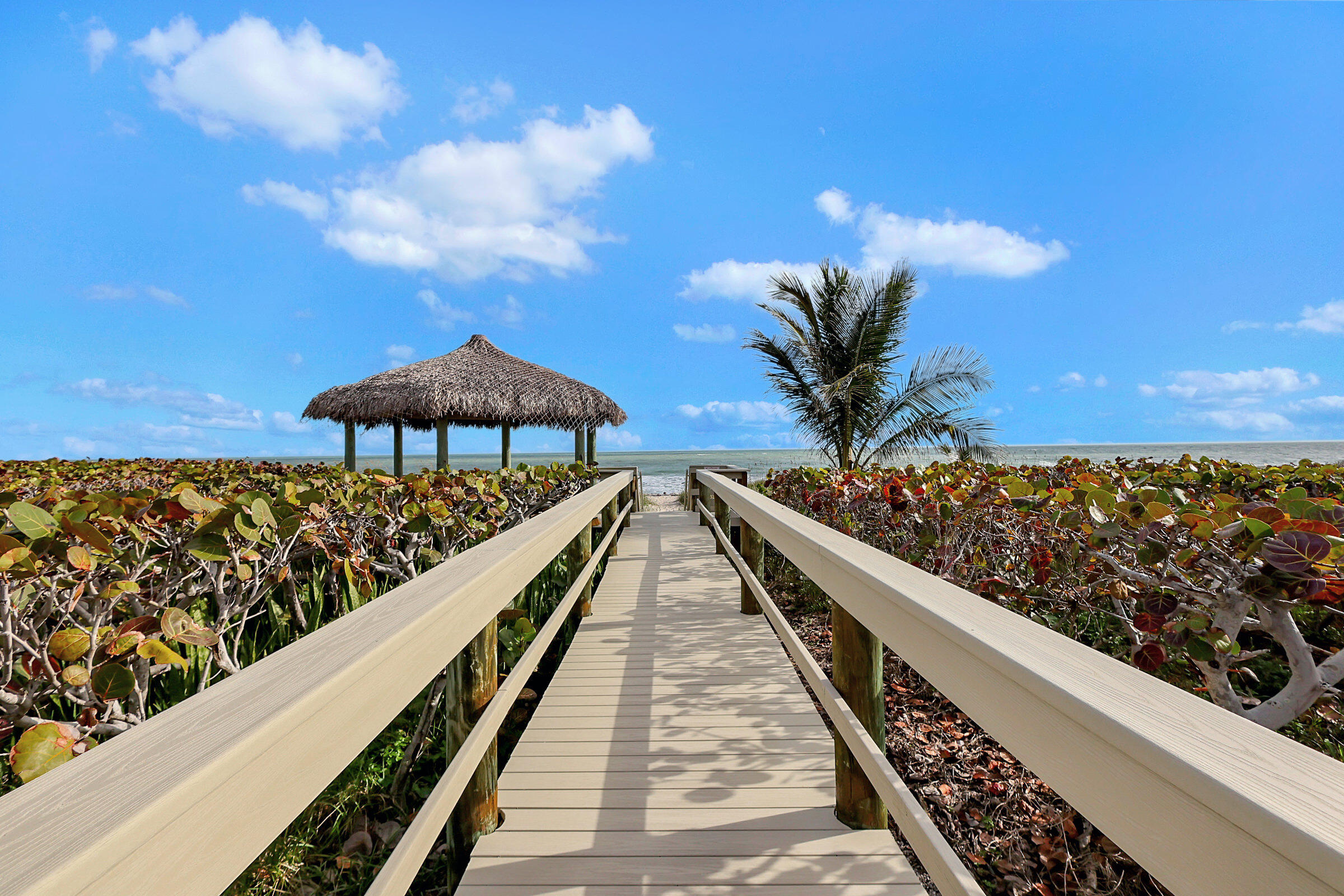 5055 North Highway A1a 705