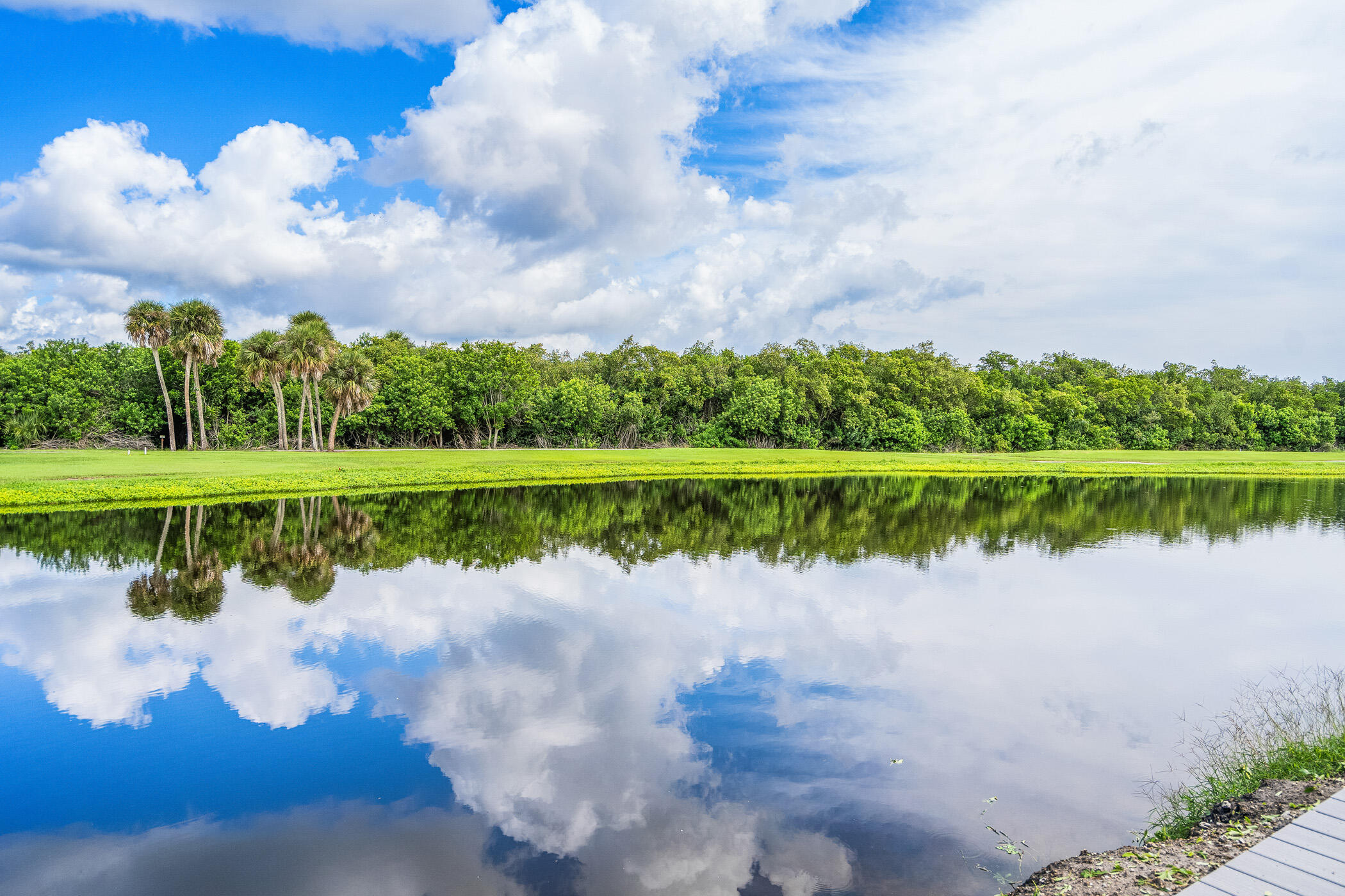 72 Royal Oak Drive 204