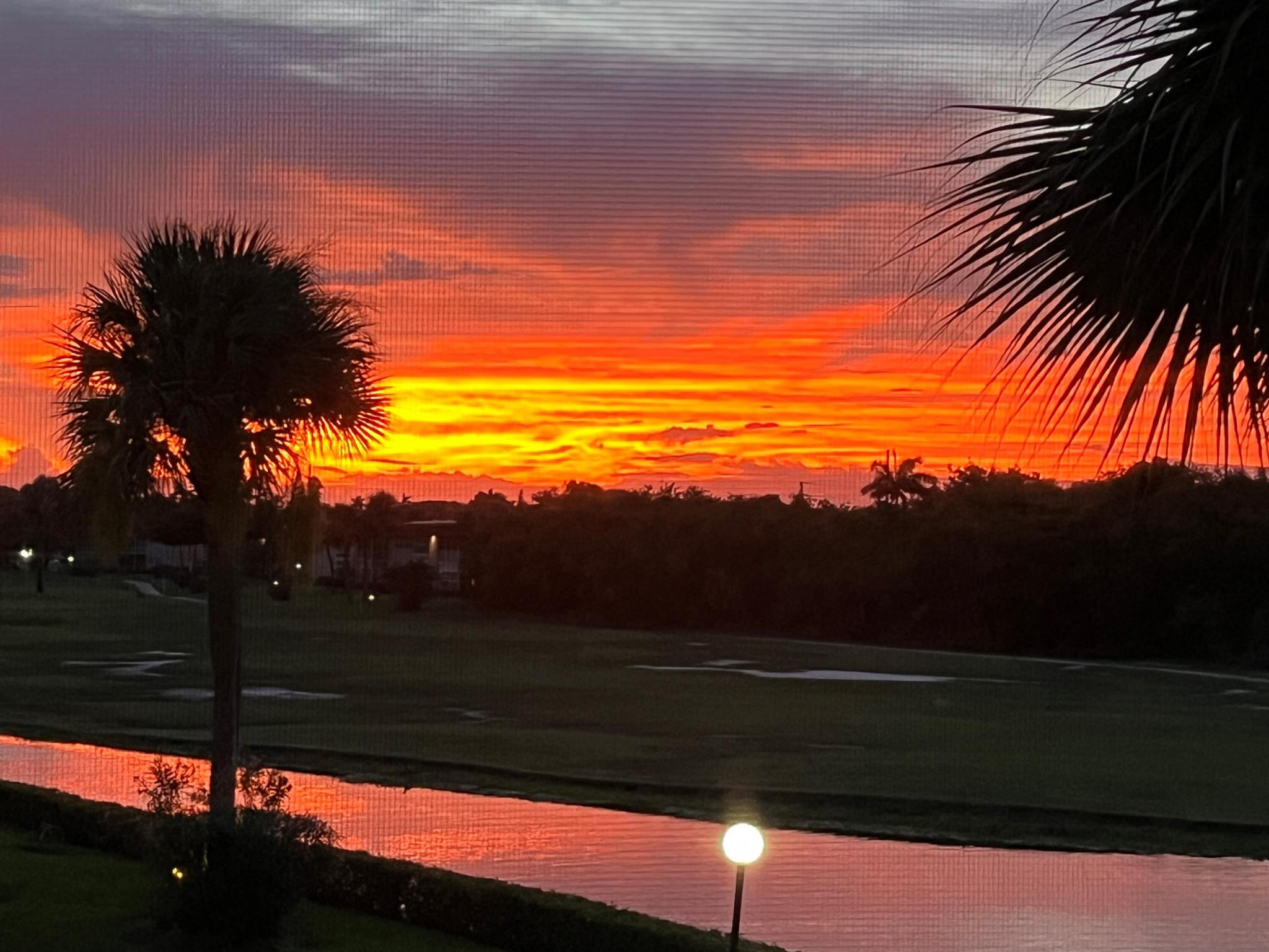 72 Royal Oak Drive 204