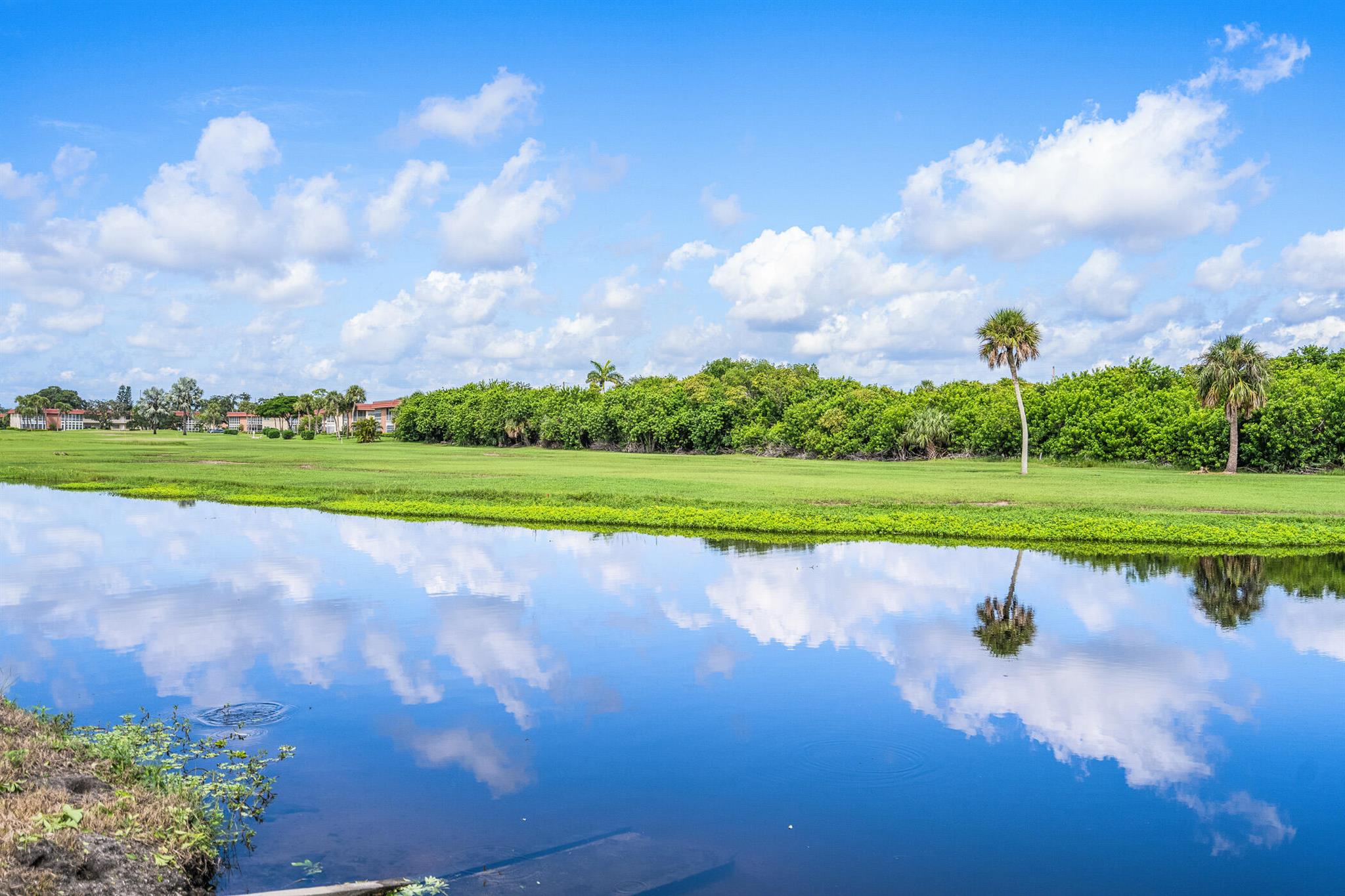 72 Royal Oak Drive 204