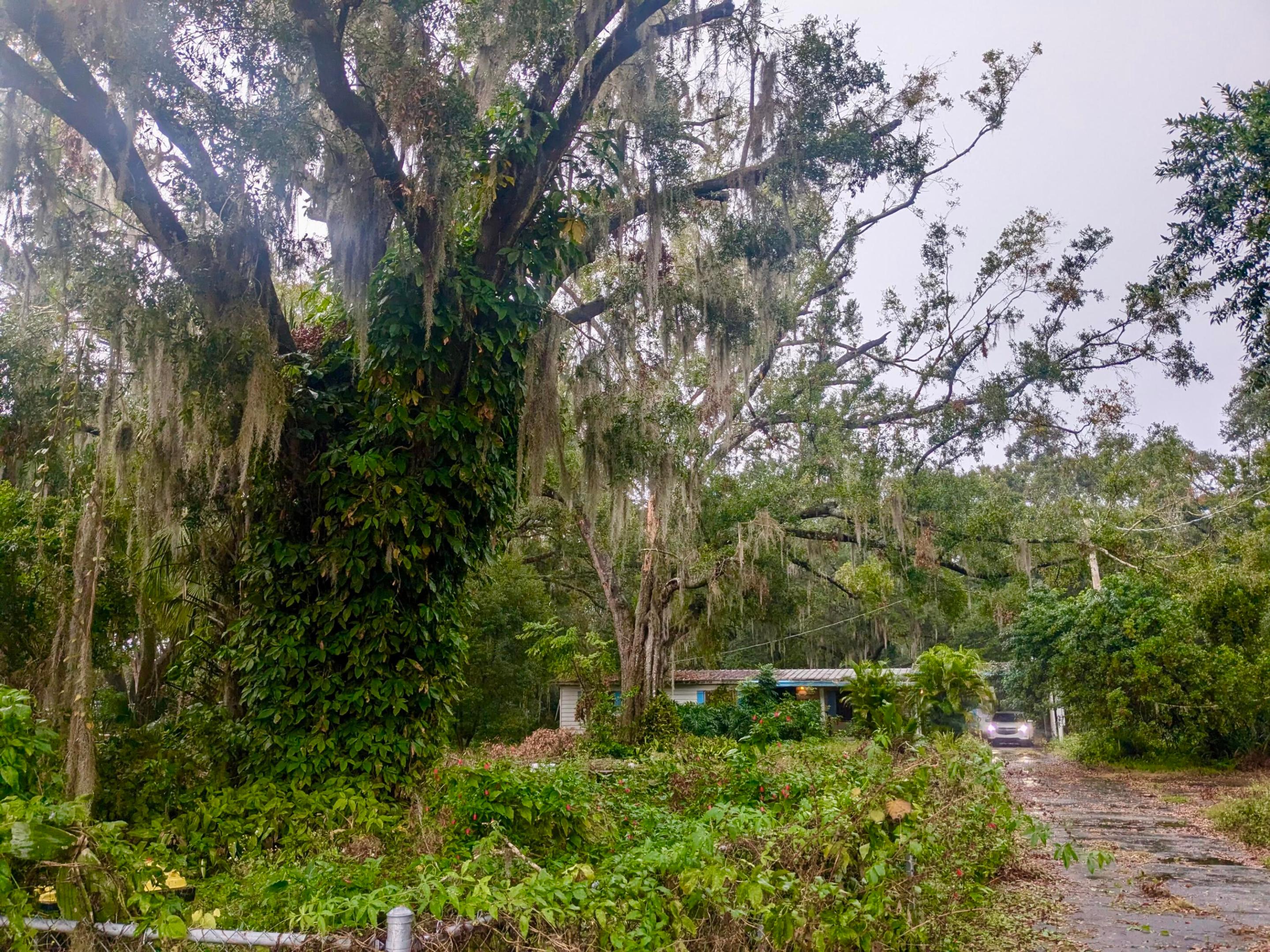 3310 Old Dixie Highway