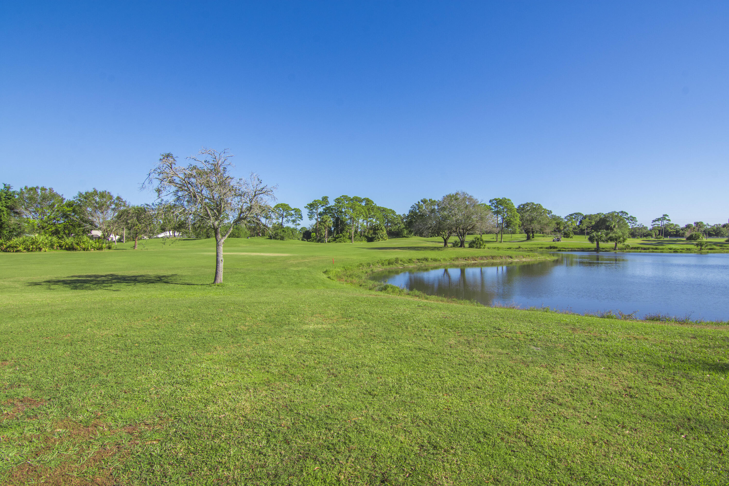 9412 Poinciana Court