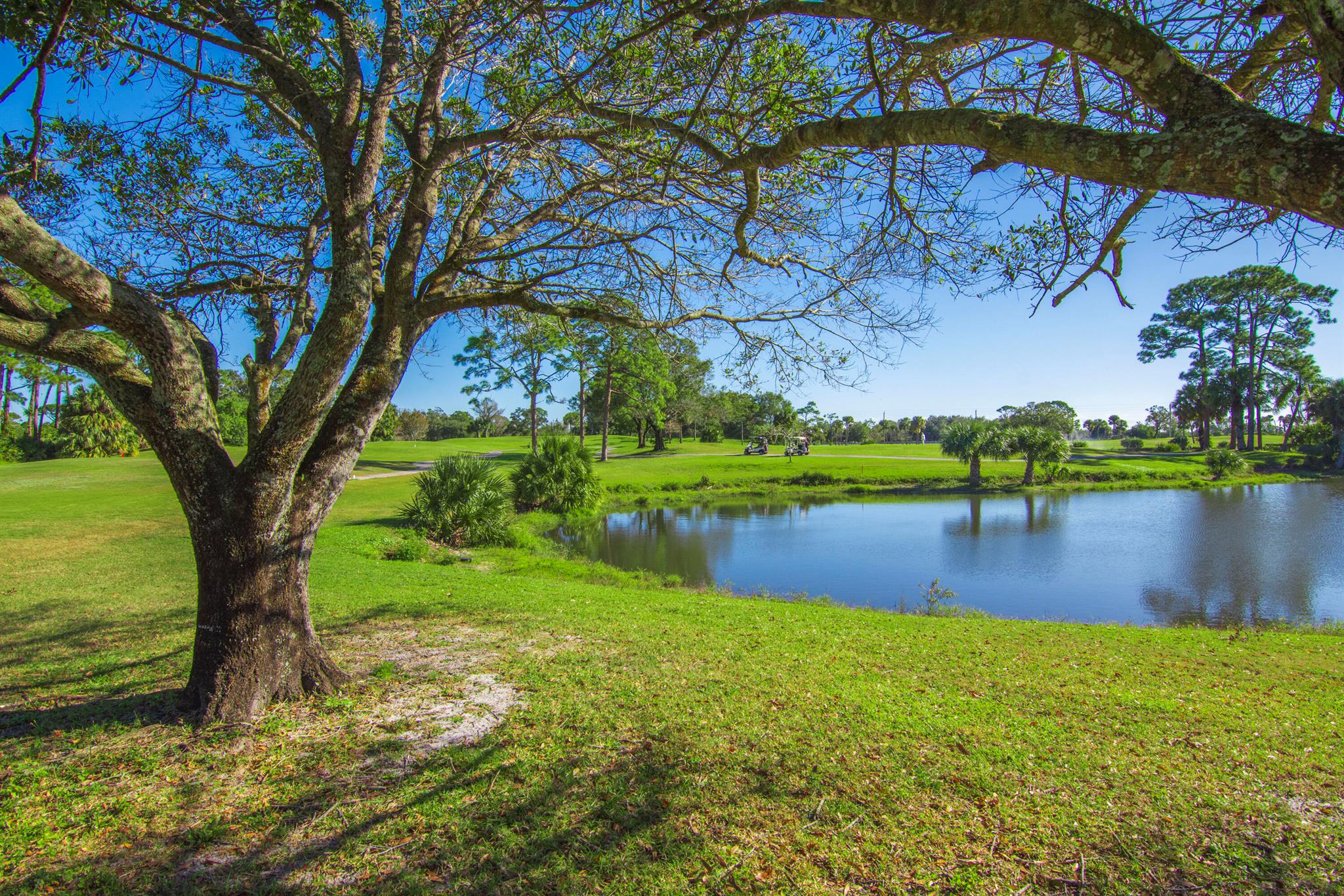 9412 Poinciana Court