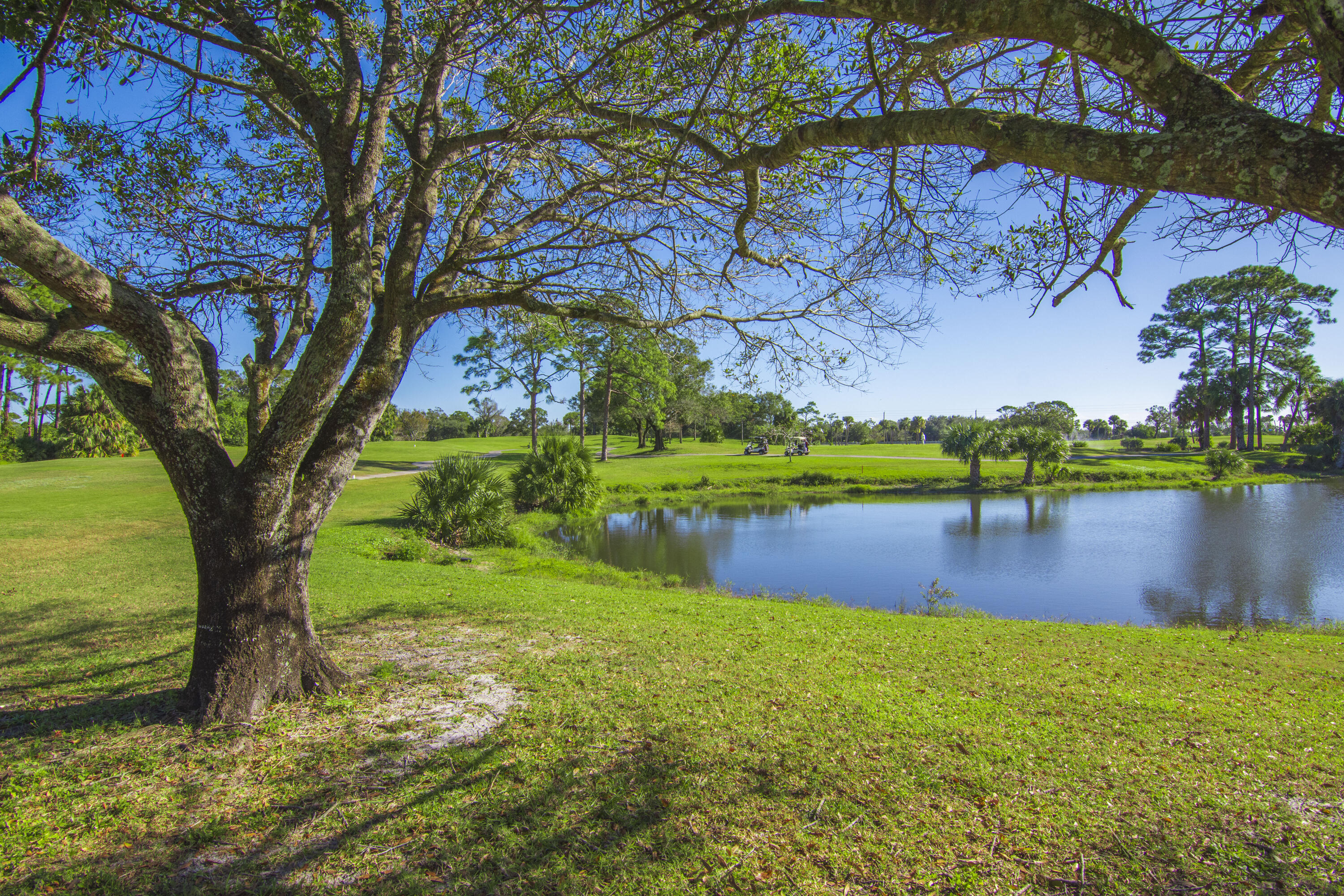 9412 Poinciana Court