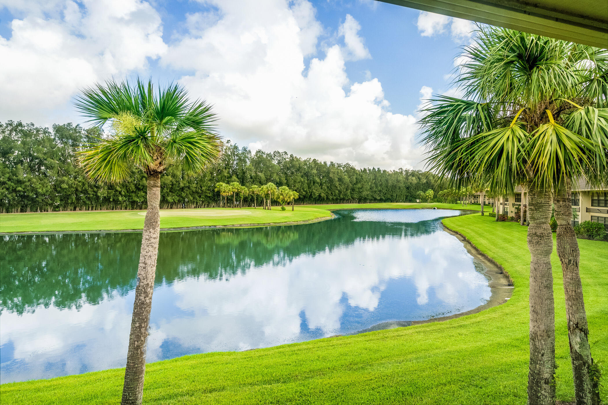 6 Plantation Drive 203