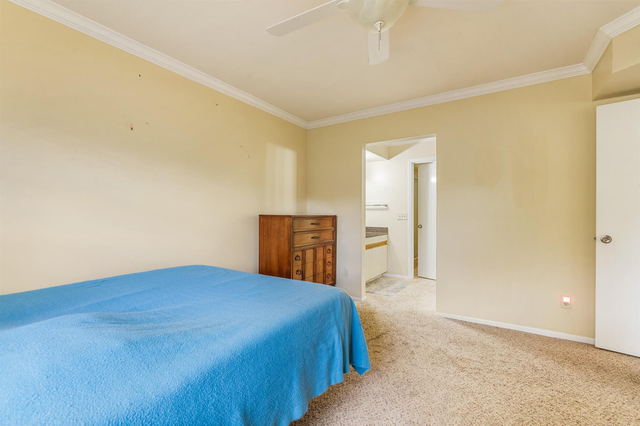 6 Plantation Drive 203