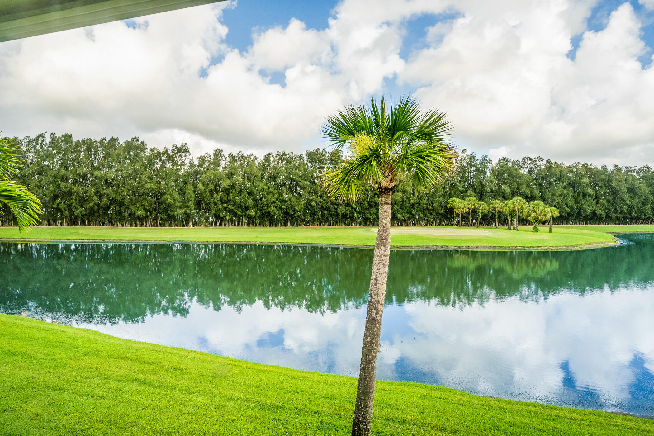 6 Plantation Drive 203