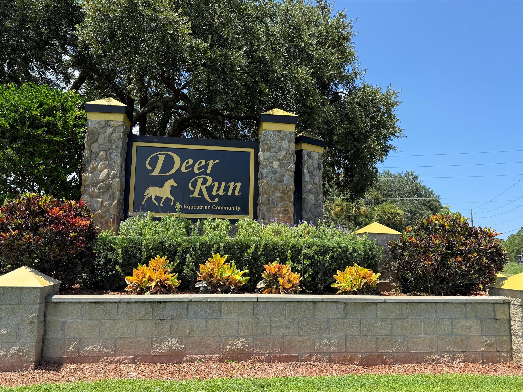 305 Fawn Trail Street