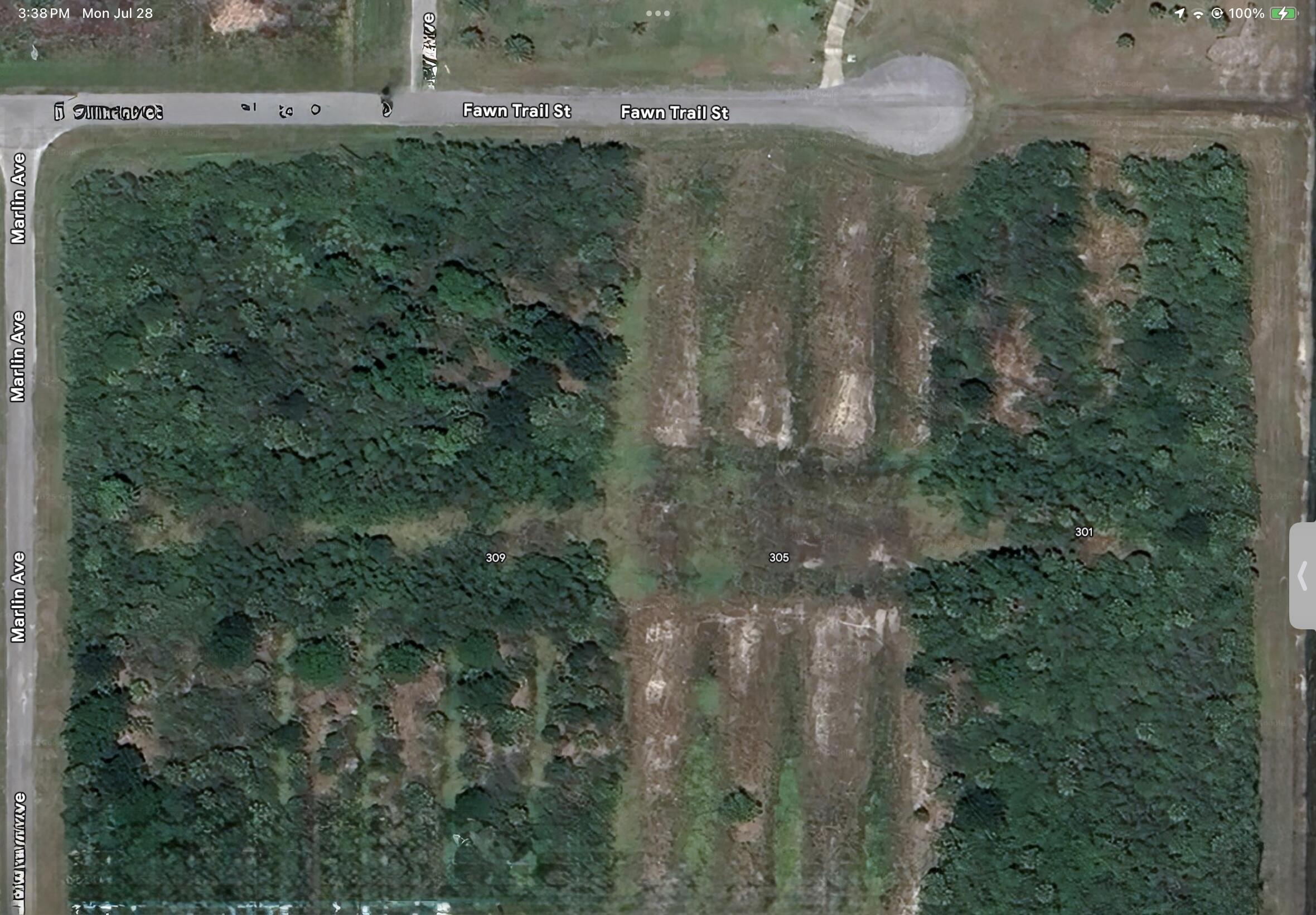 305 Fawn Trail Street