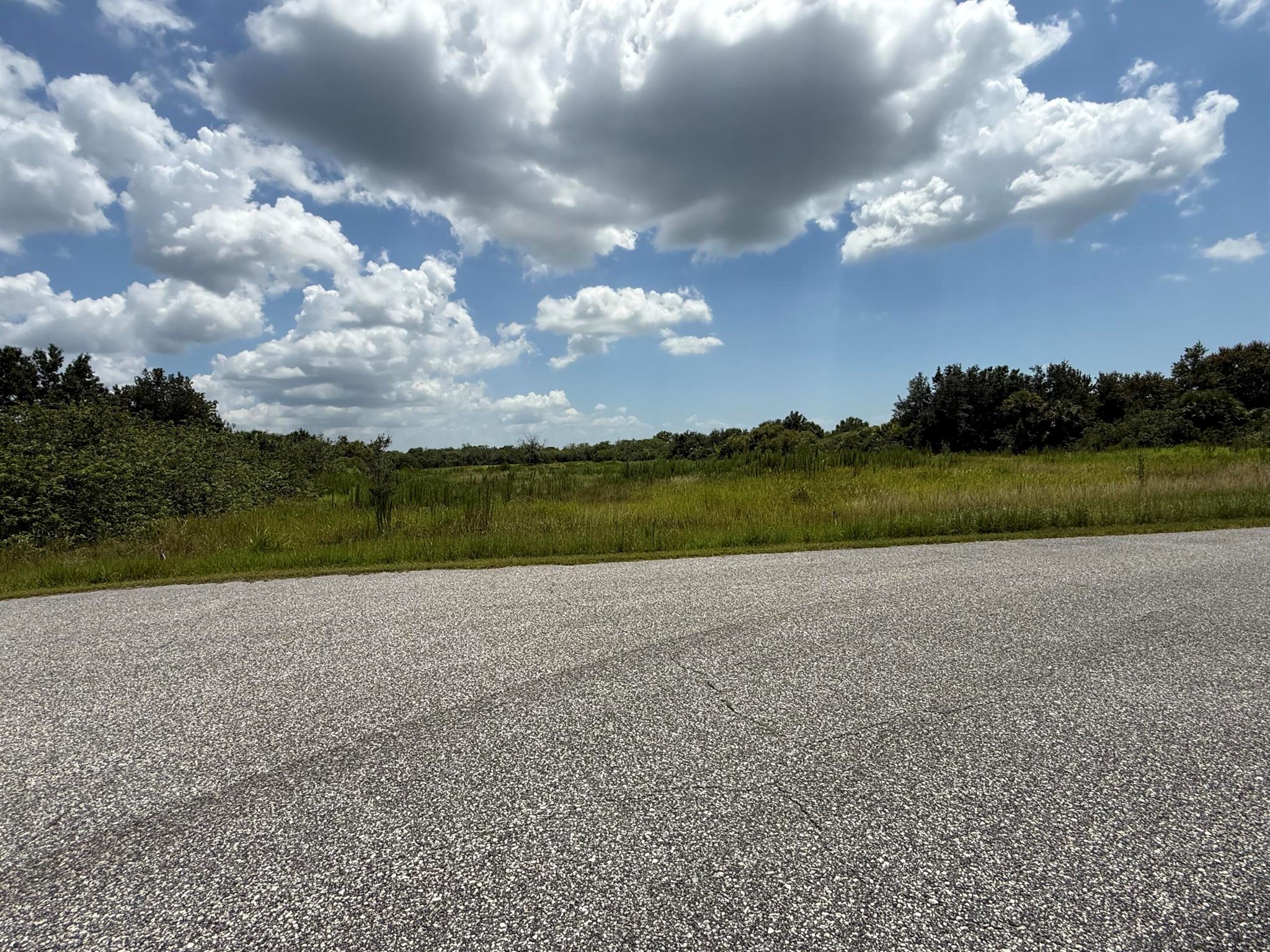 305 Fawn Trail Street