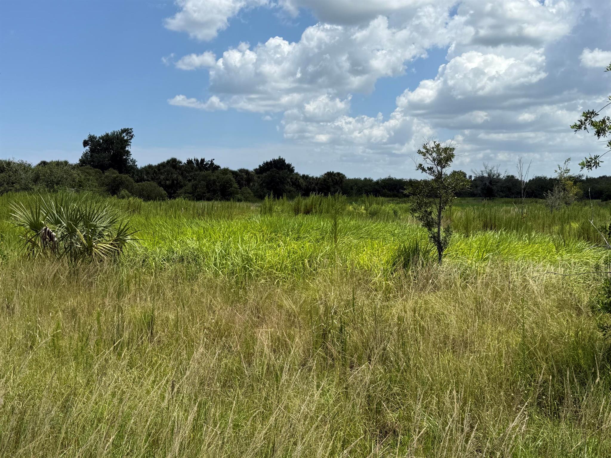 305 Fawn Trail Street