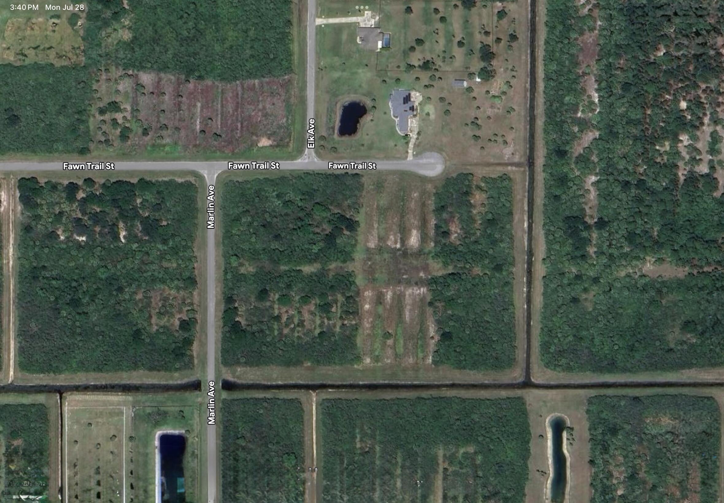 305 Fawn Trail Street