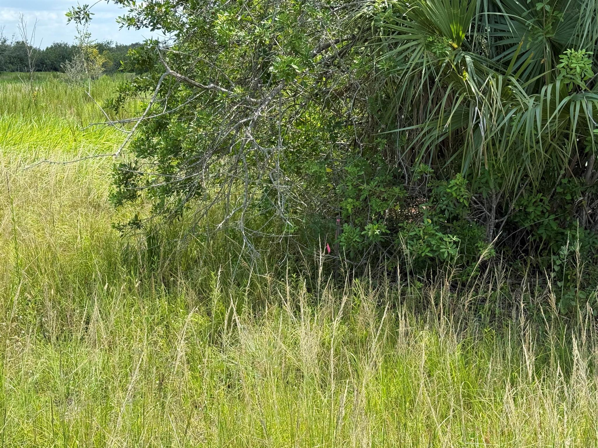 305 Fawn Trail Street