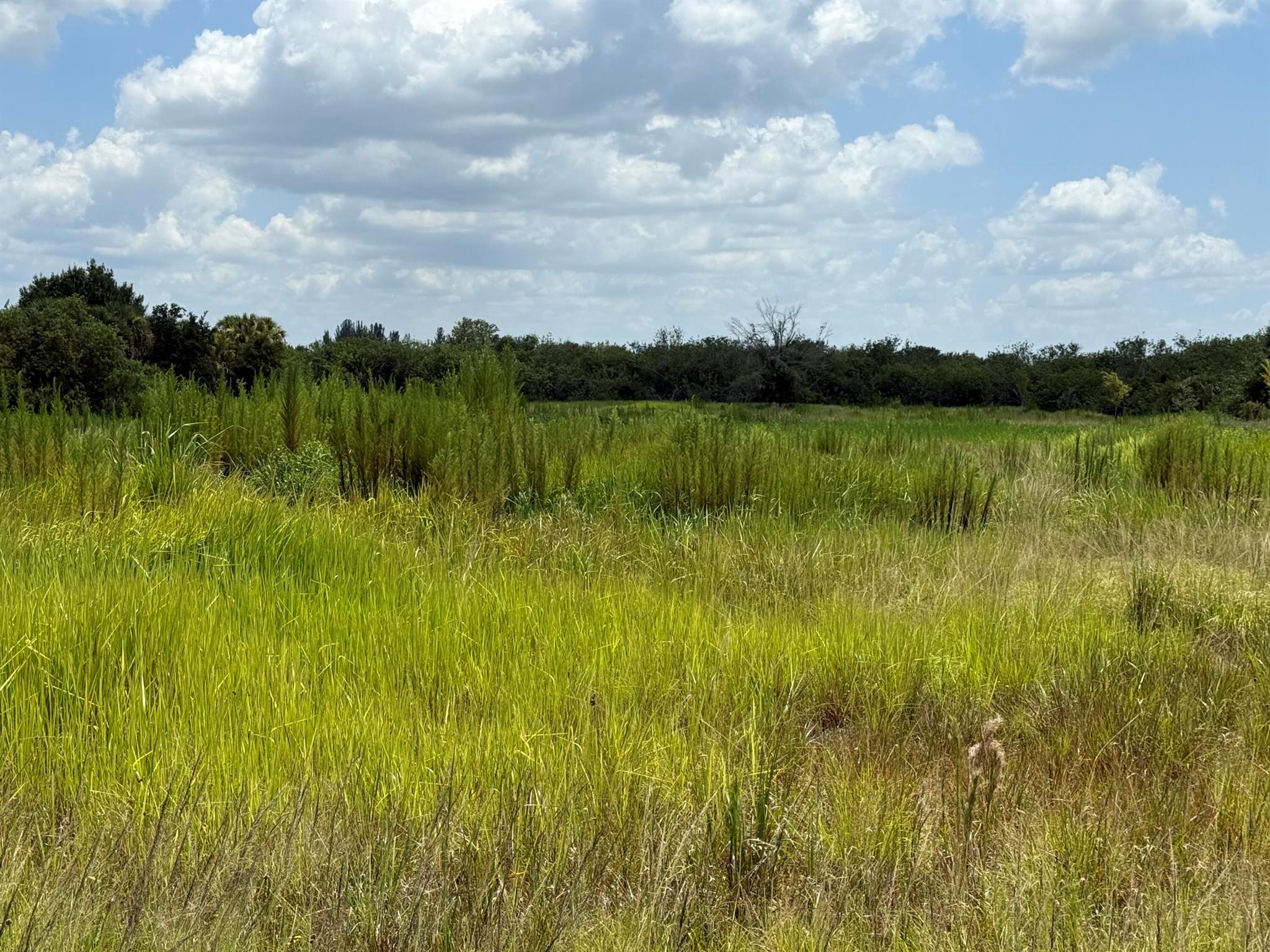 305 Fawn Trail Street