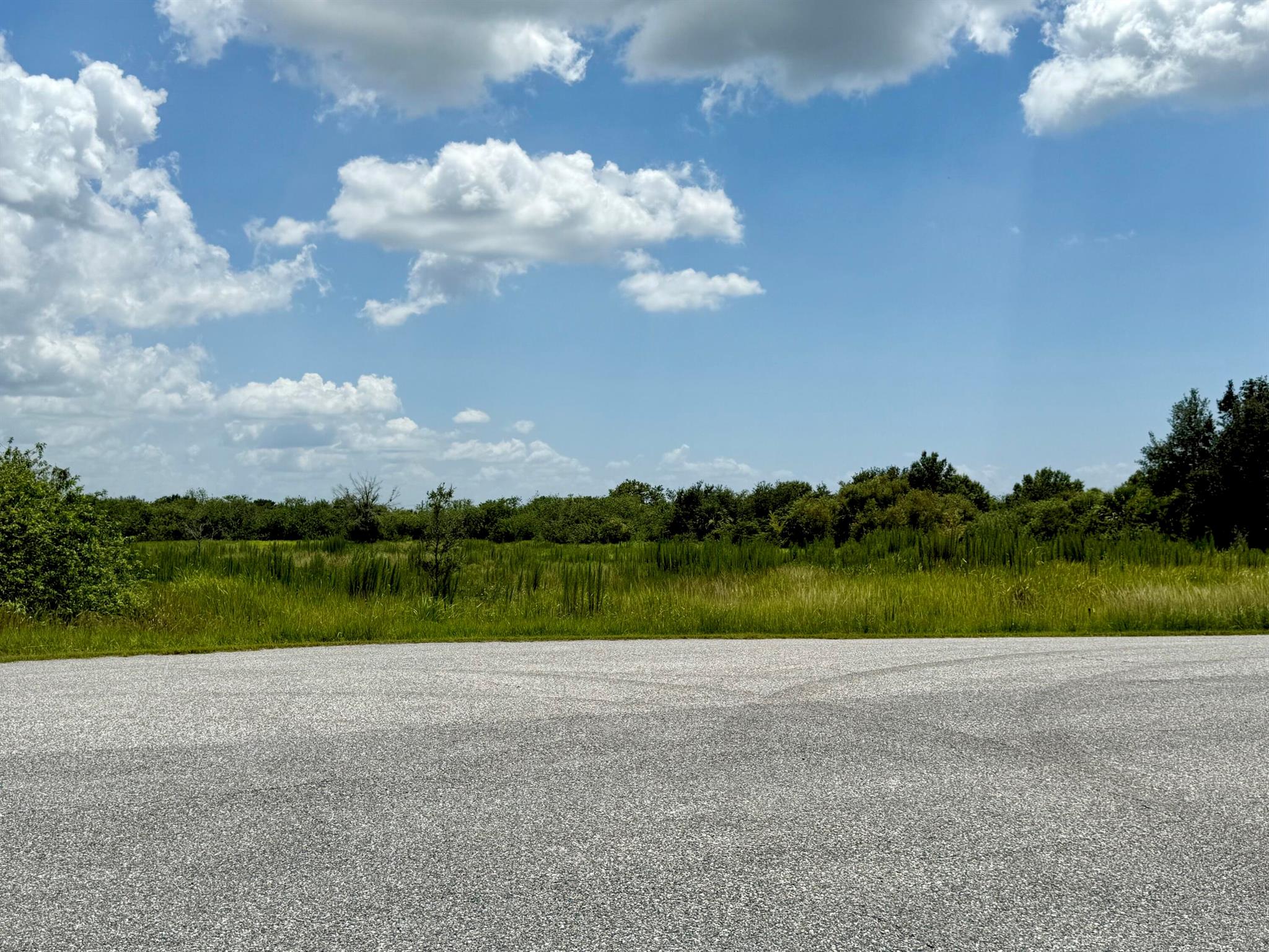 305 Fawn Trail Street