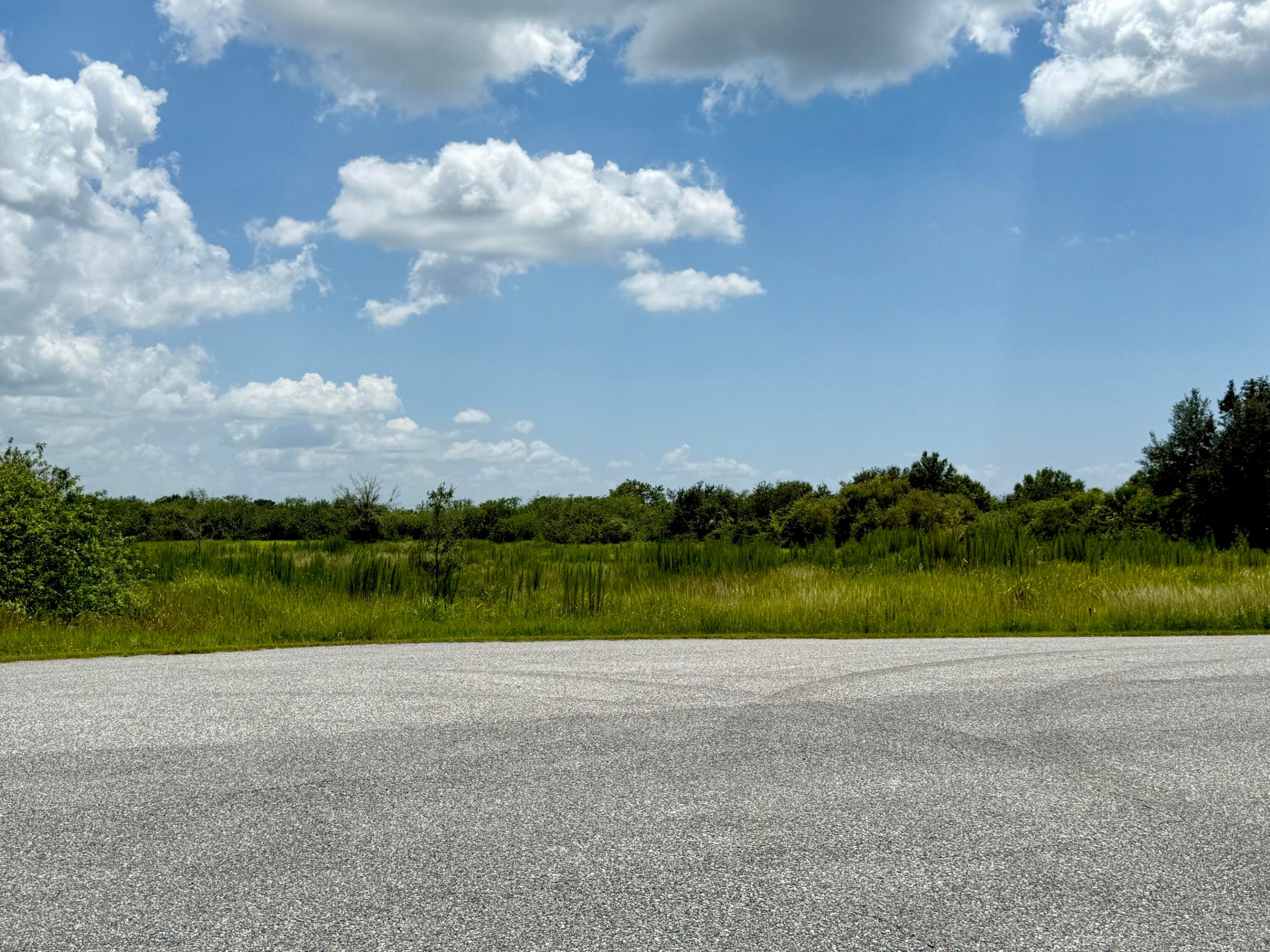 305 Fawn Trail Street