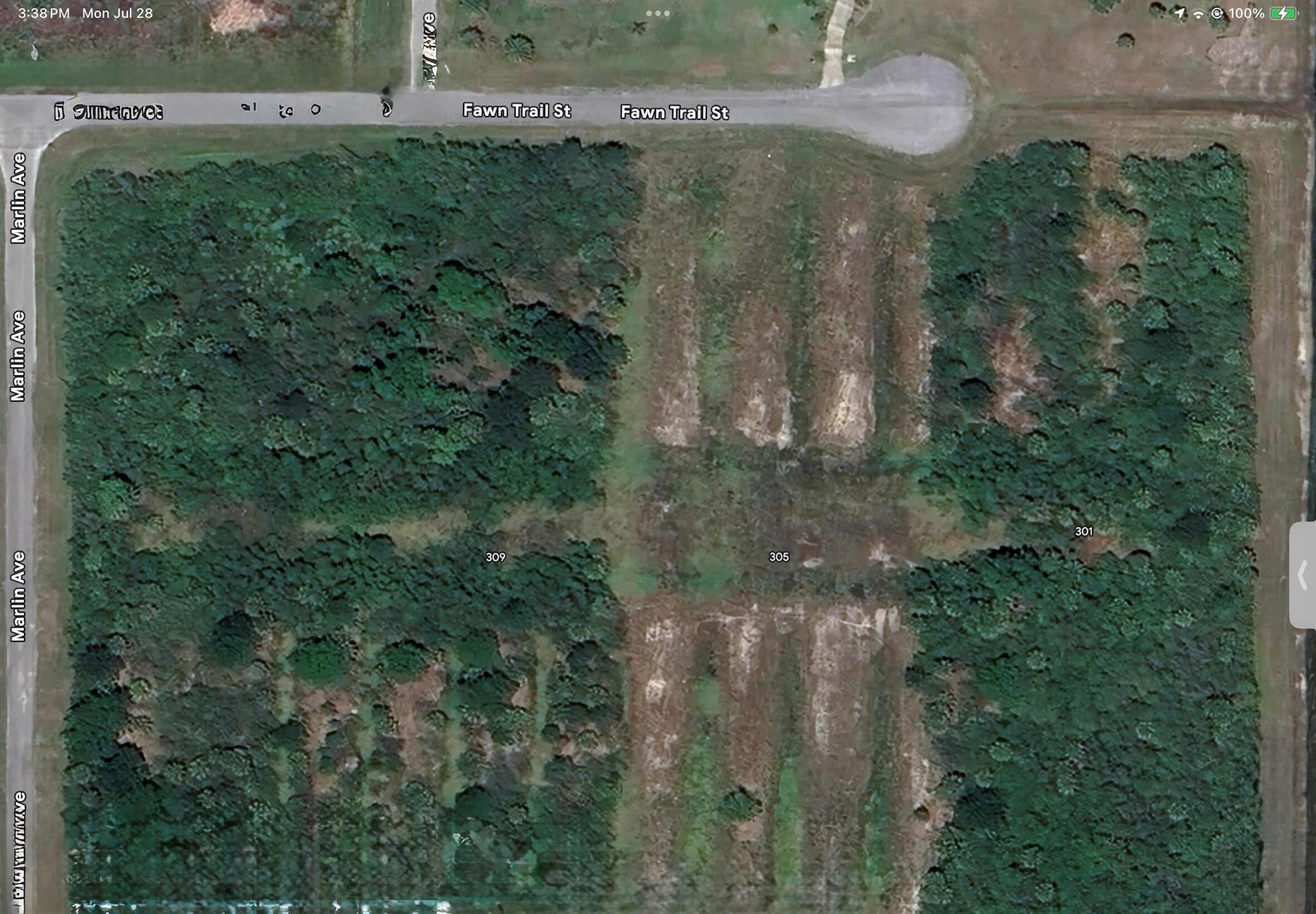 305 Fawn Trail Street