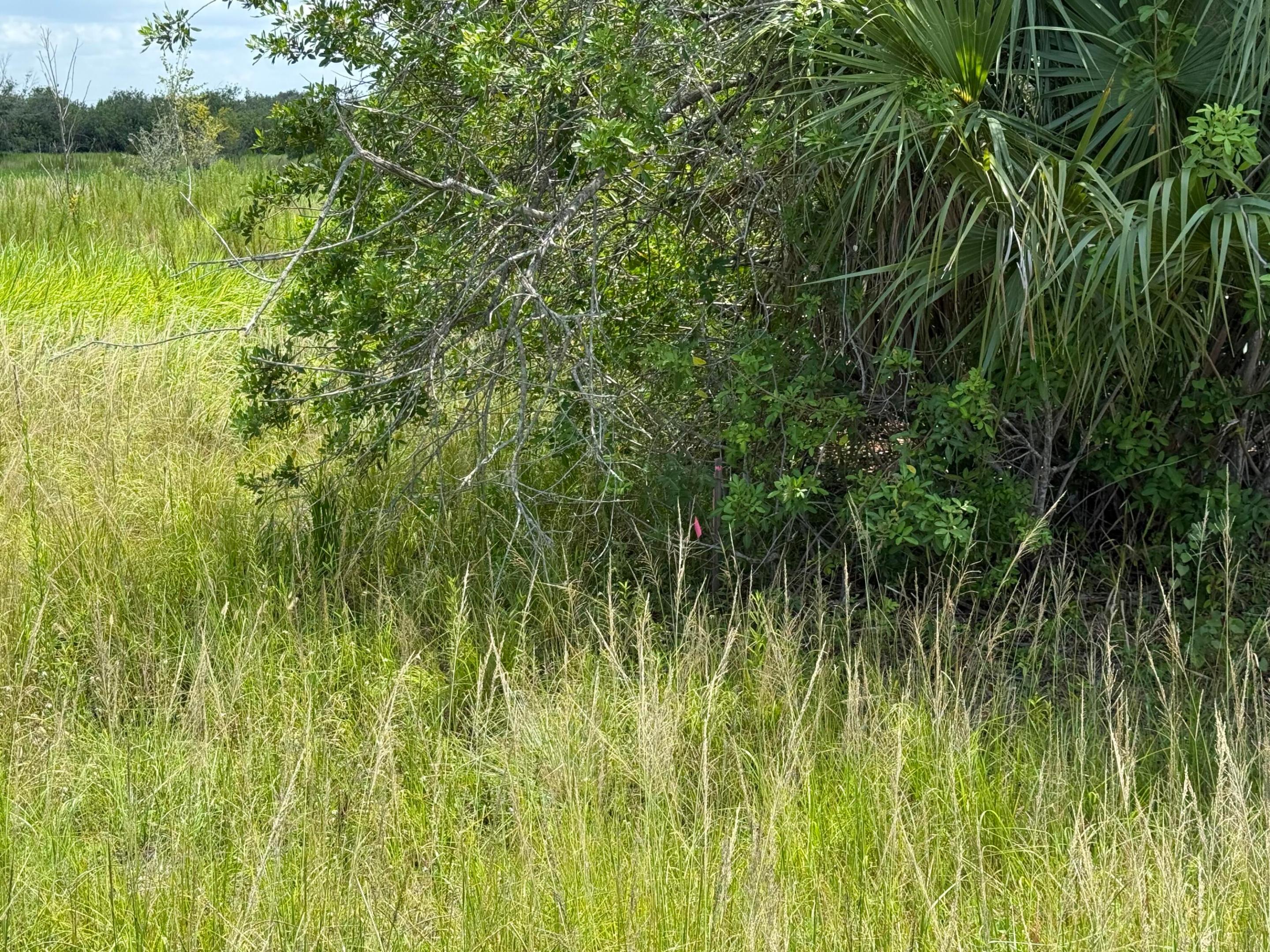 305 Fawn Trail Street