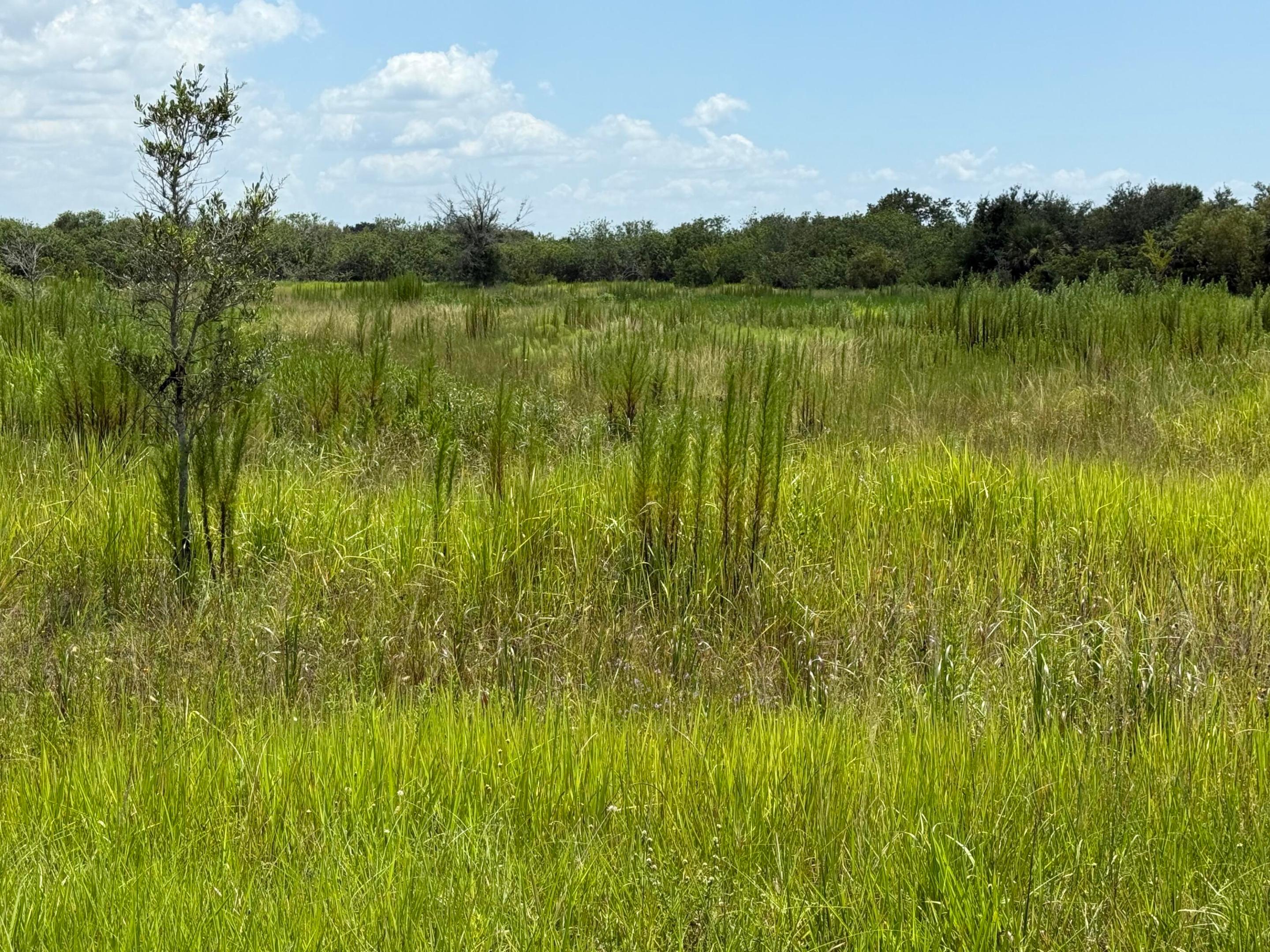 305 Fawn Trail Street