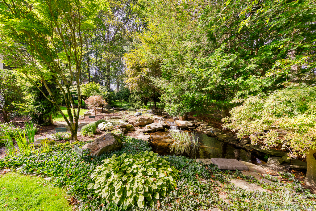 117 Quarter Horse Lane