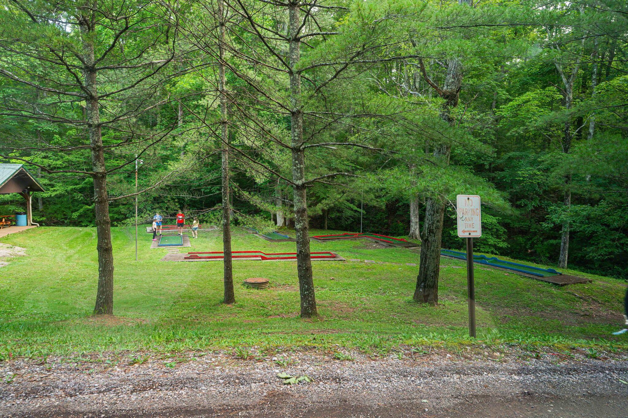 82 Pineywood Trail