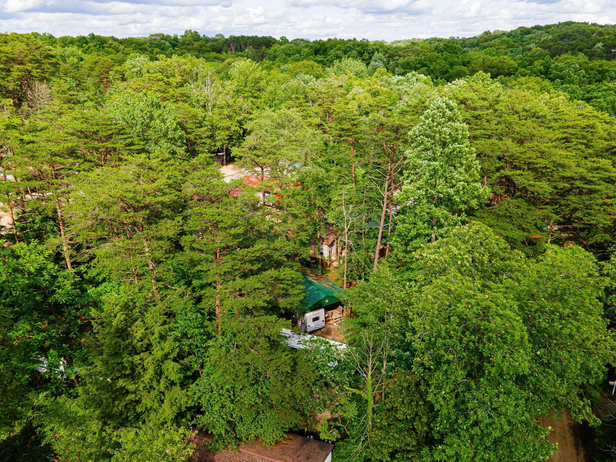 82 Pineywood Trail
