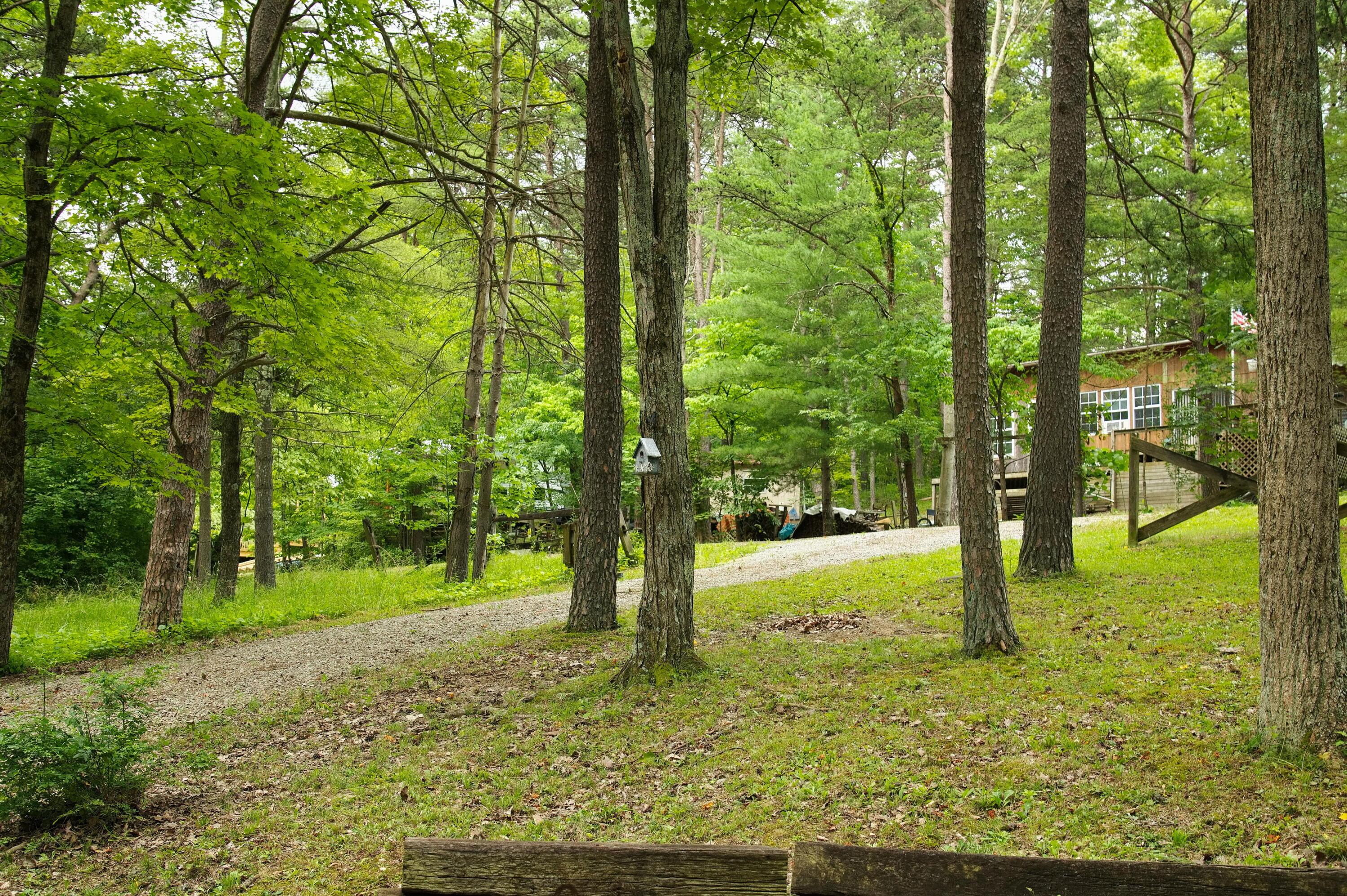 506 Timberwolf Trail