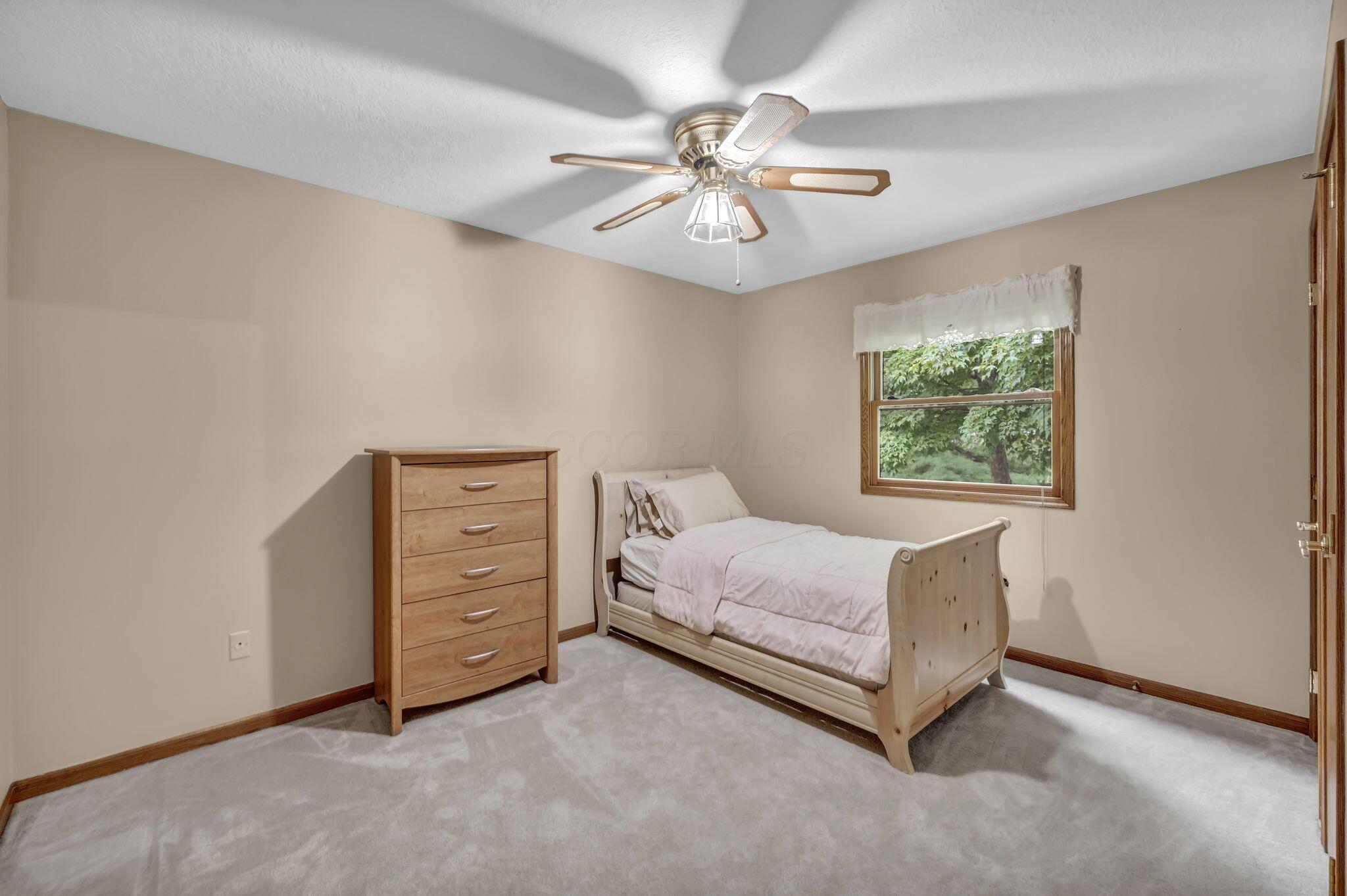 Bedroom with a light wood single bed and dresser, gray carpet, and a window overlooking leafy greenery.