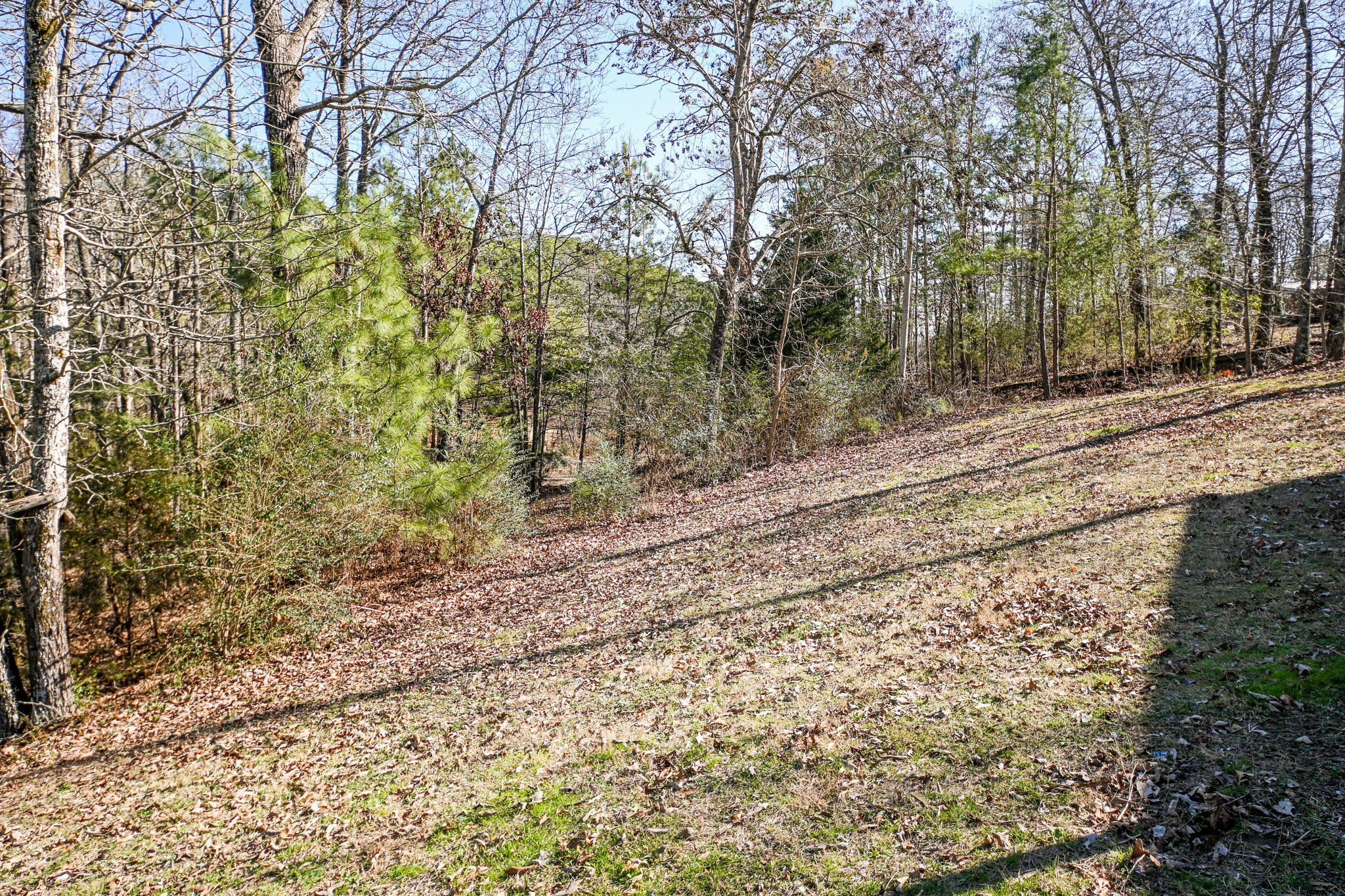 8615 Ramsey Acres Road Drive