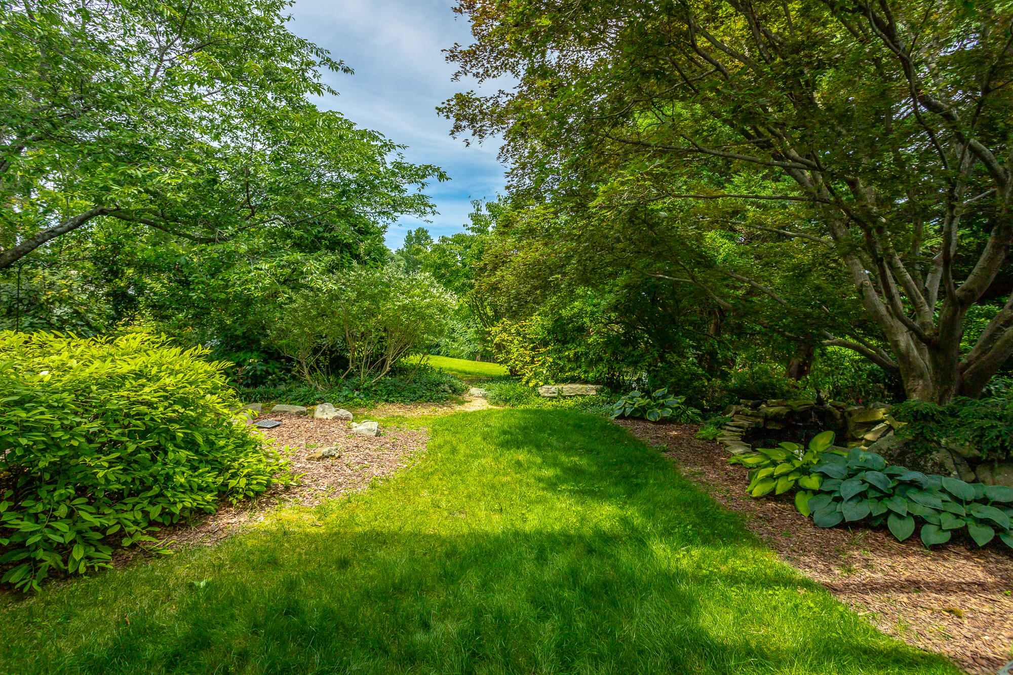 3117 Colyar Drive