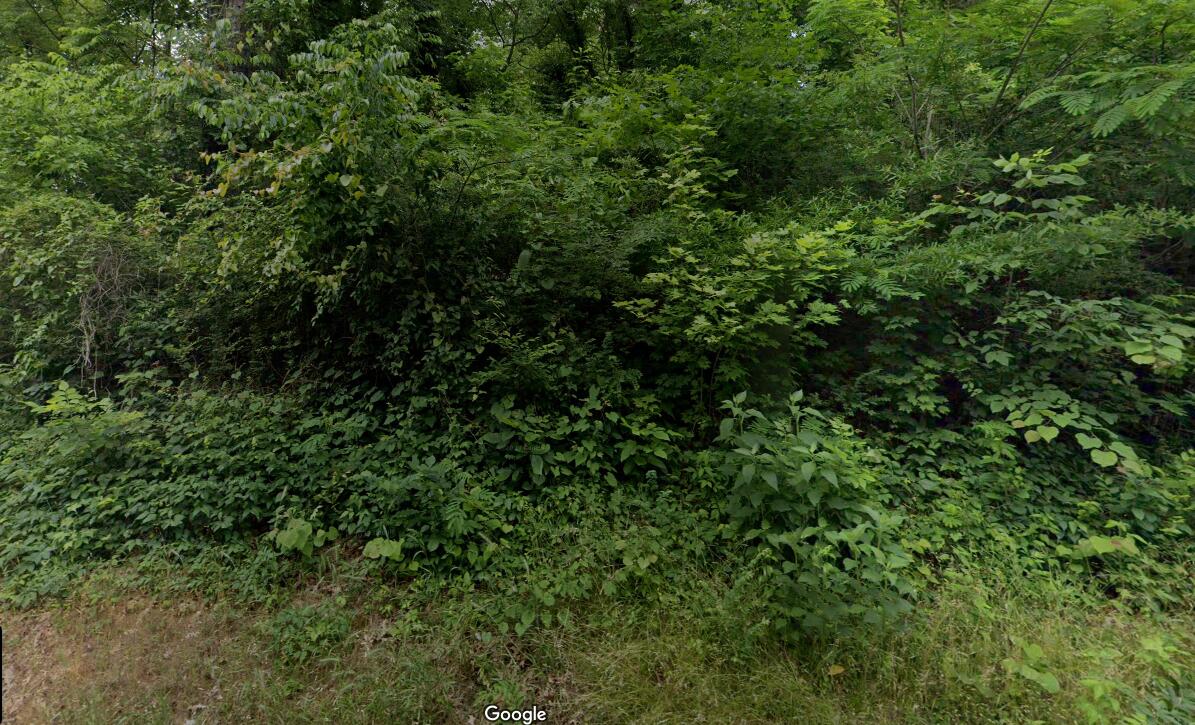 1231 Gunbarrel Road