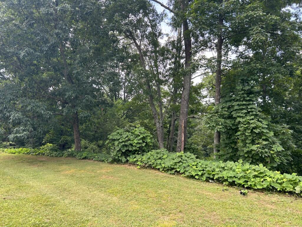 0 Mount View Drive, 21