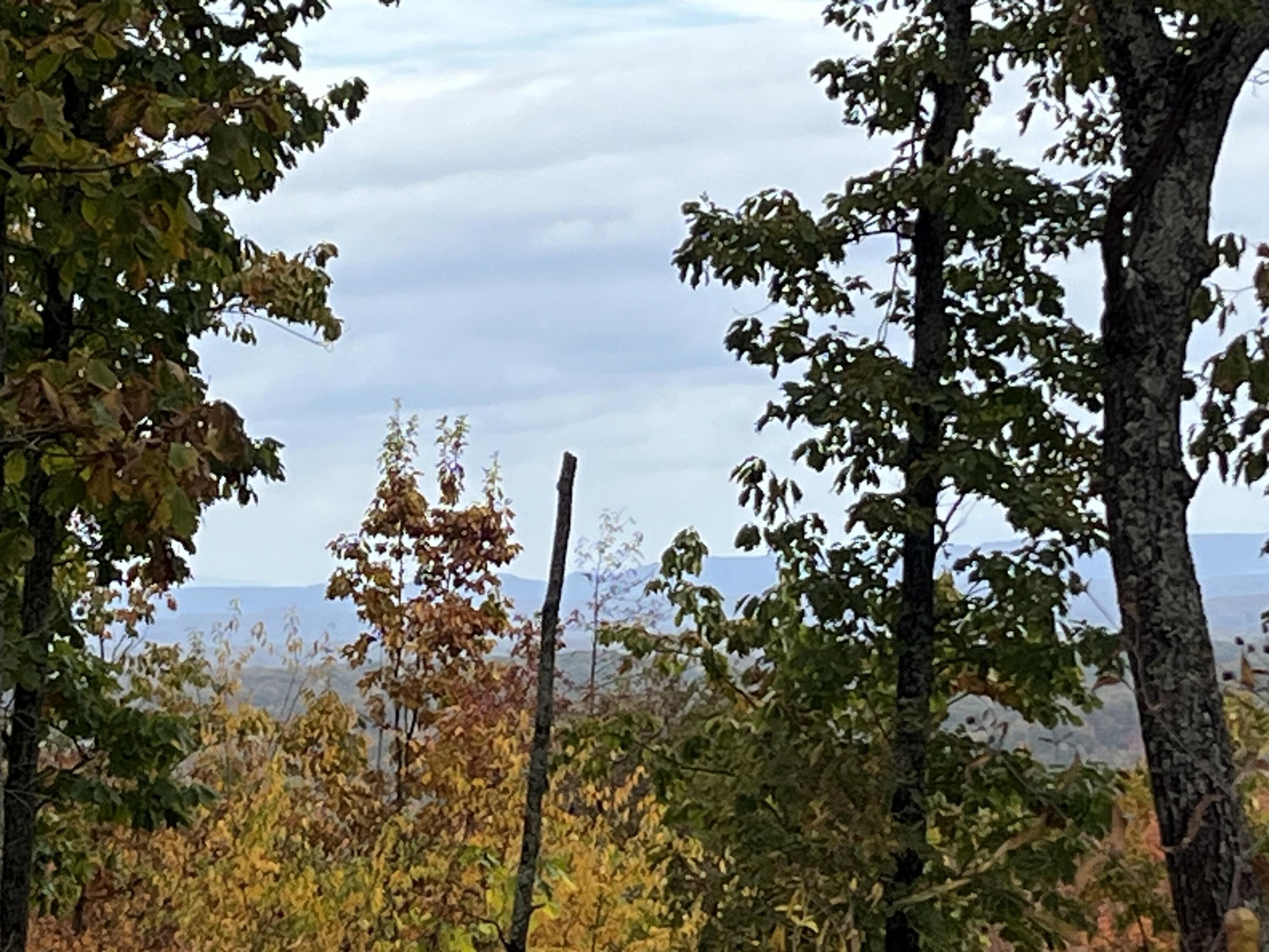 8037 Rocky Ledge Drive