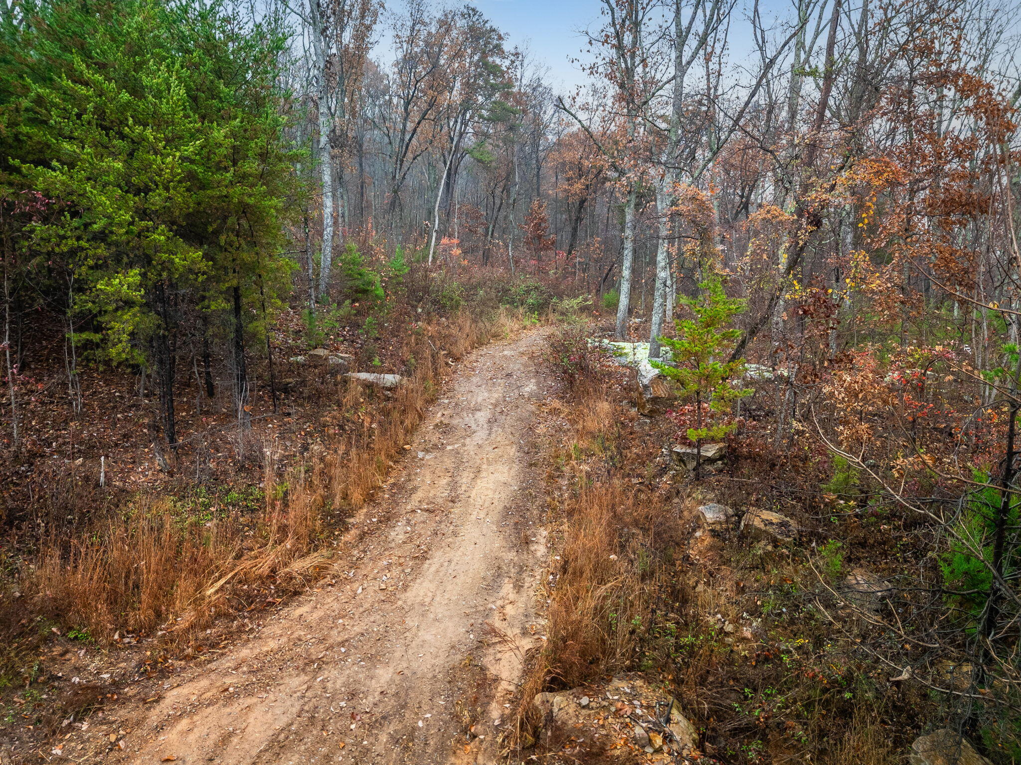 8037 Rocky Ledge Drive