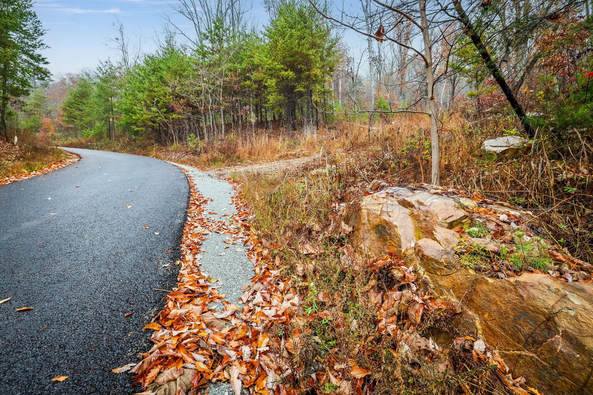 8037 Rocky Ledge Drive