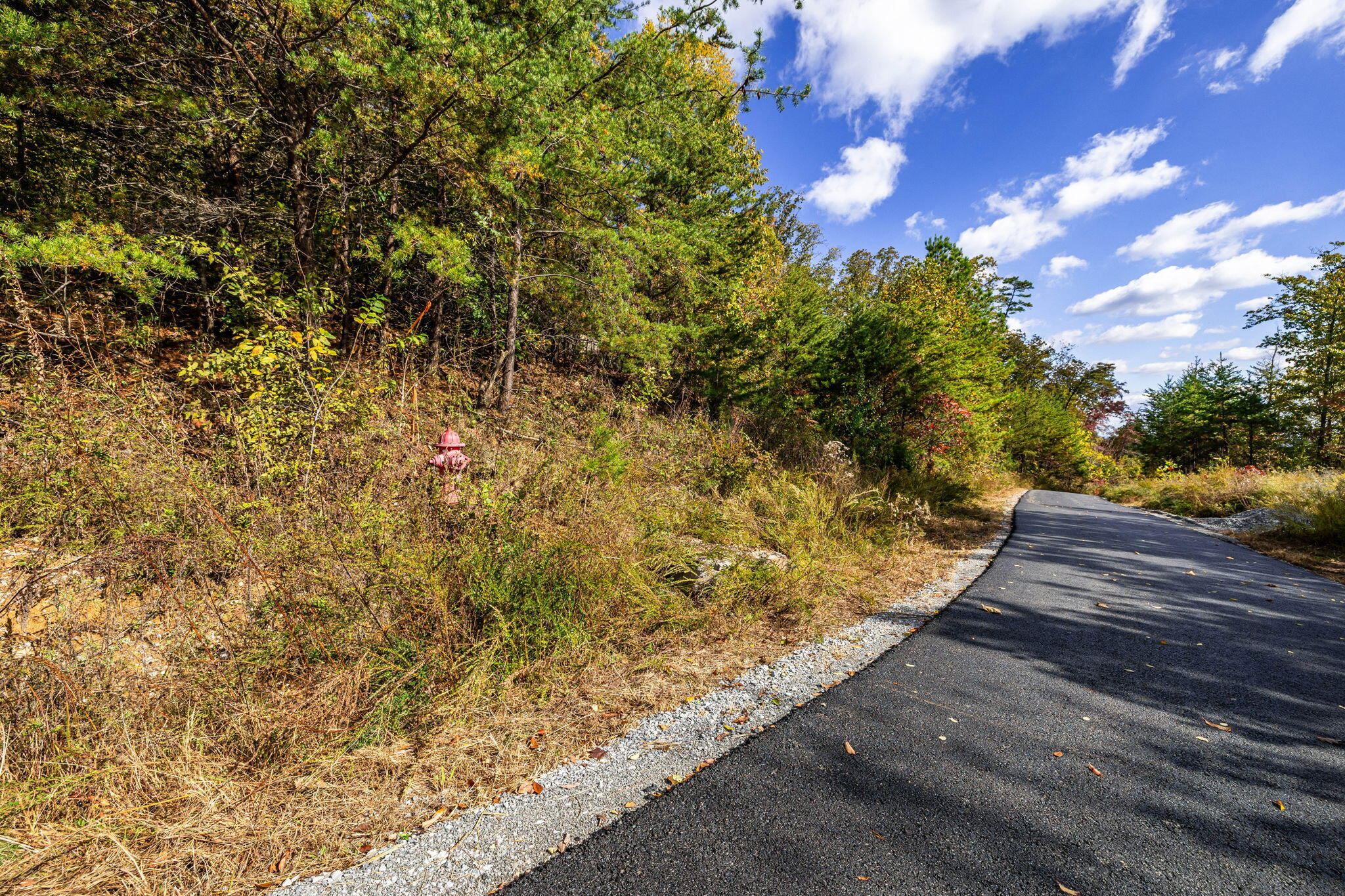 8037 Rocky Ledge Drive