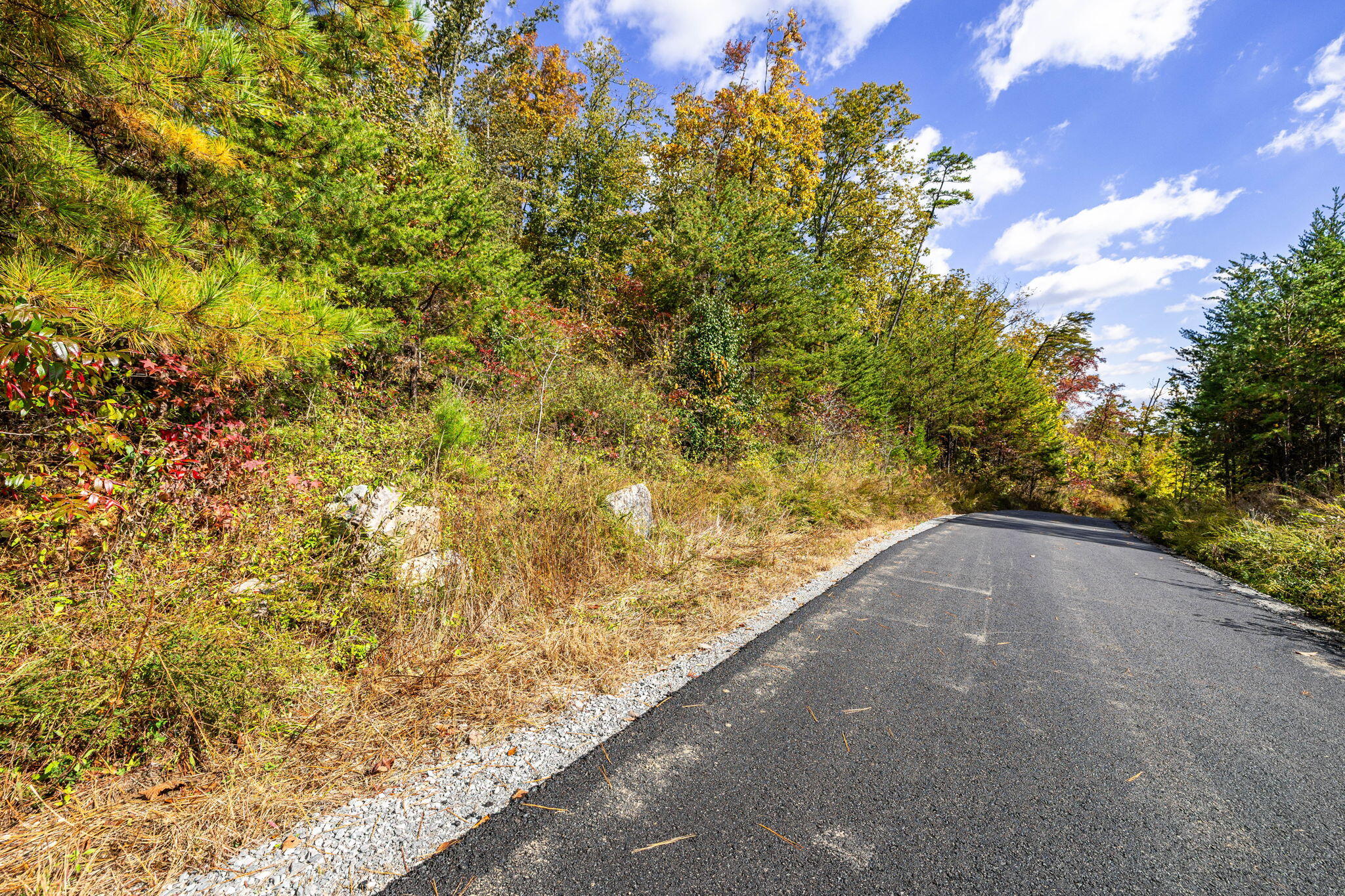 8037 Rocky Ledge Drive