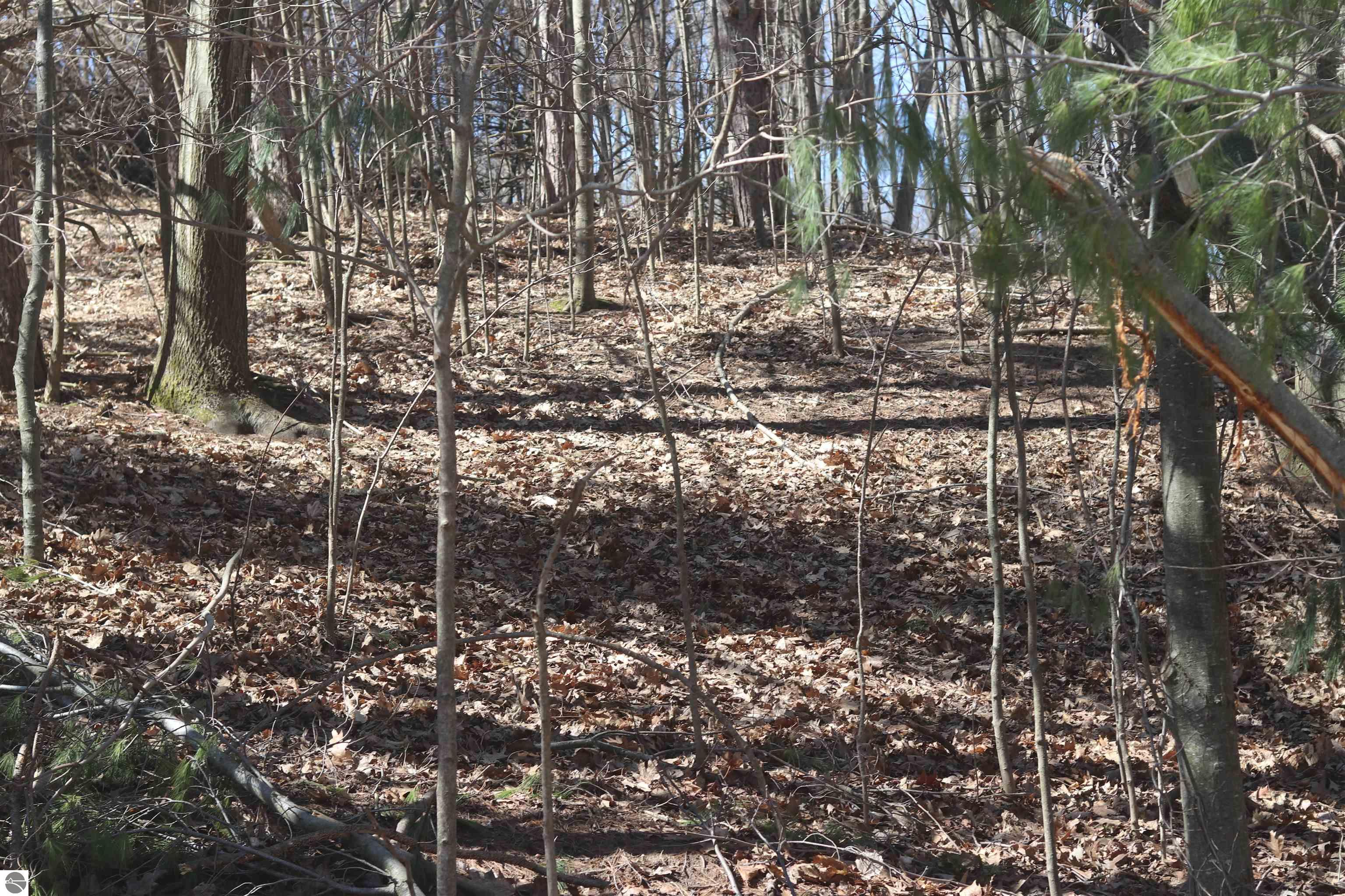 lot 18 Crystal View Commons