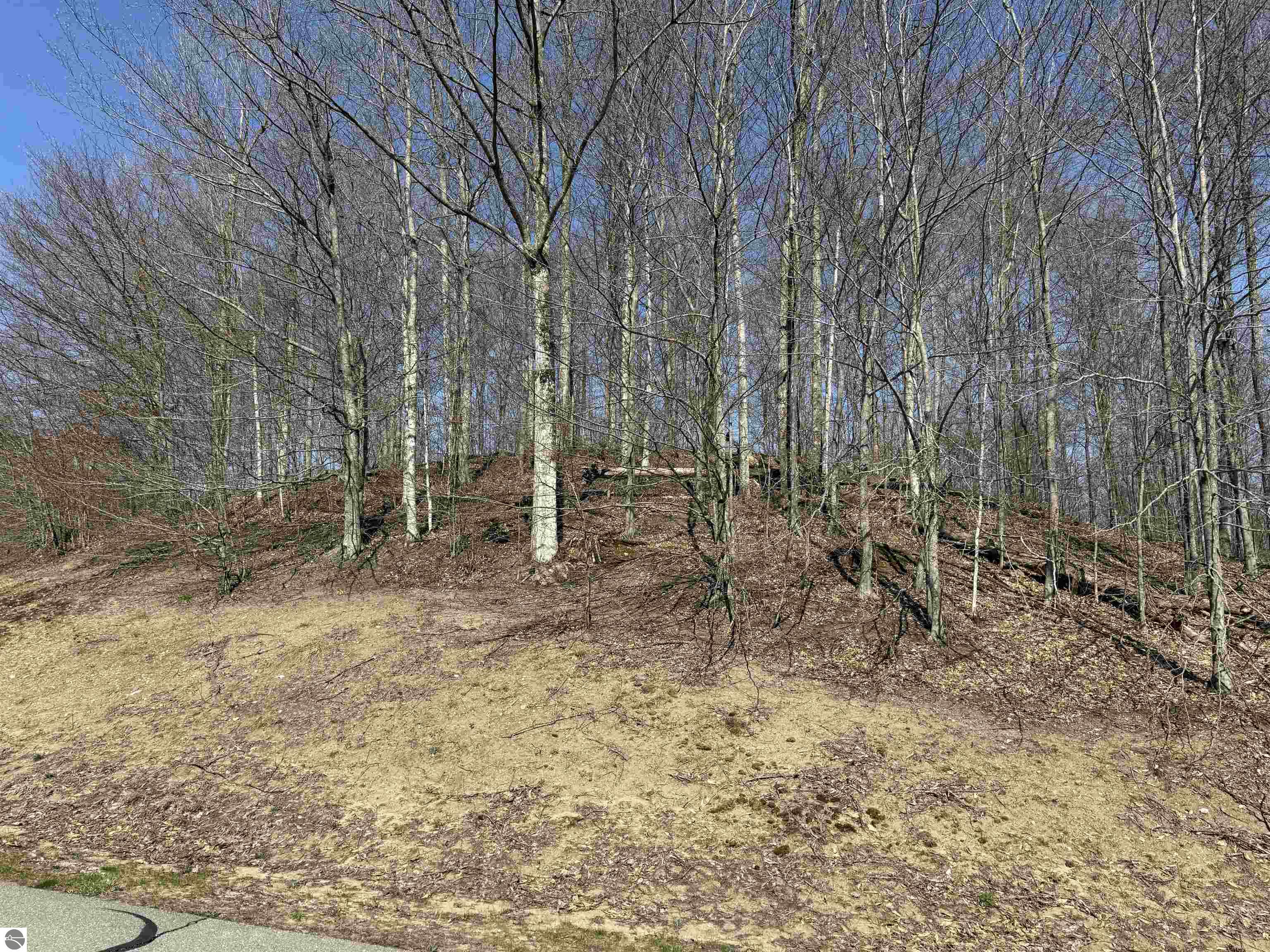 0000 W Timber View Trail