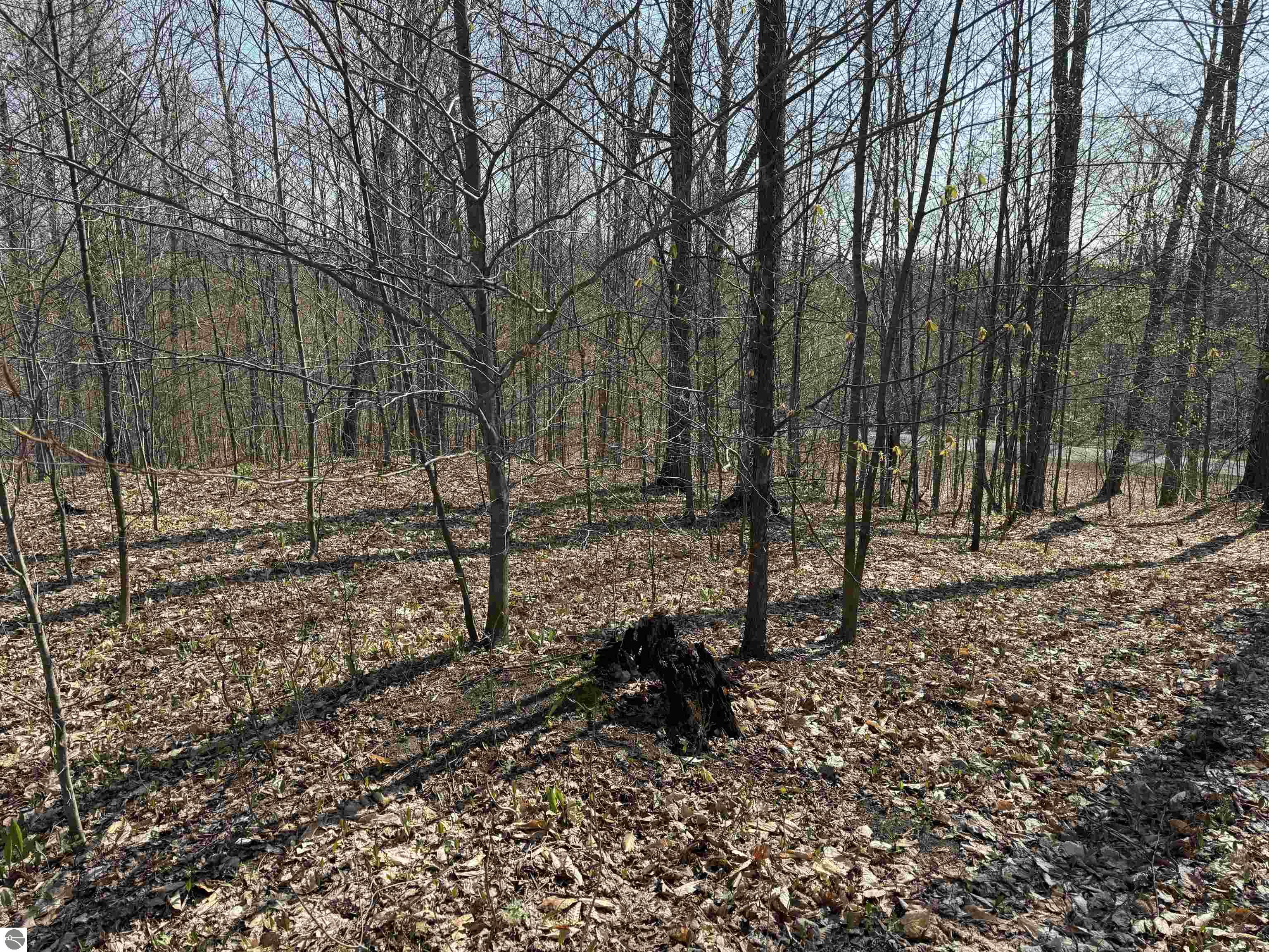 0000 W Timber View Trail