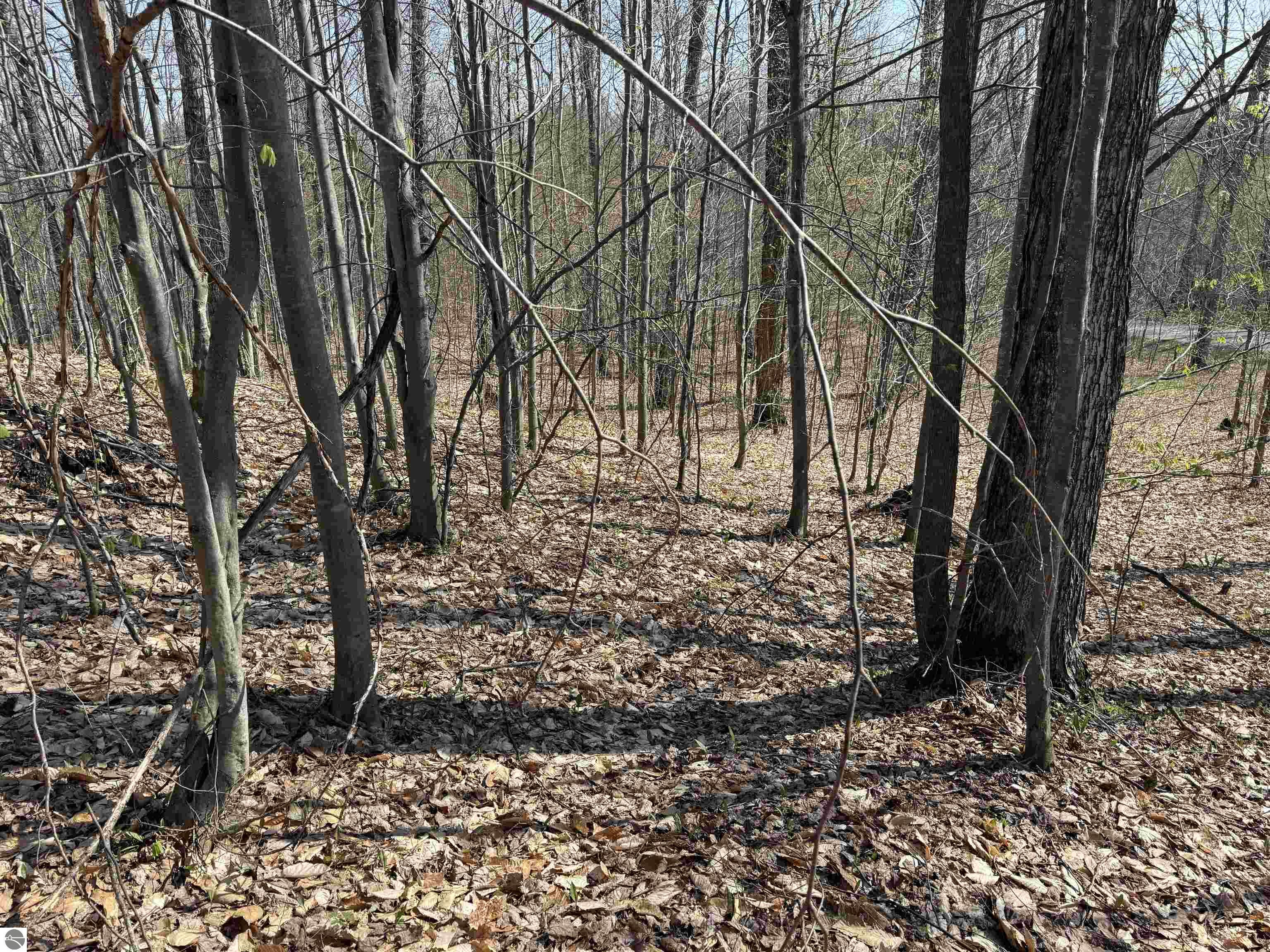 0000 W Timber View Trail