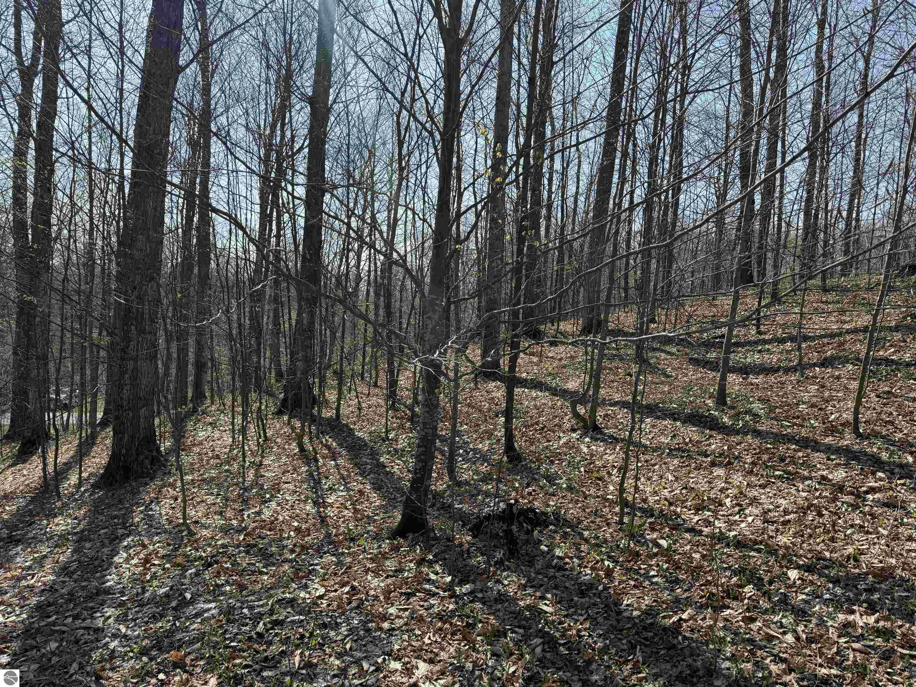 0000 W Timber View Trail