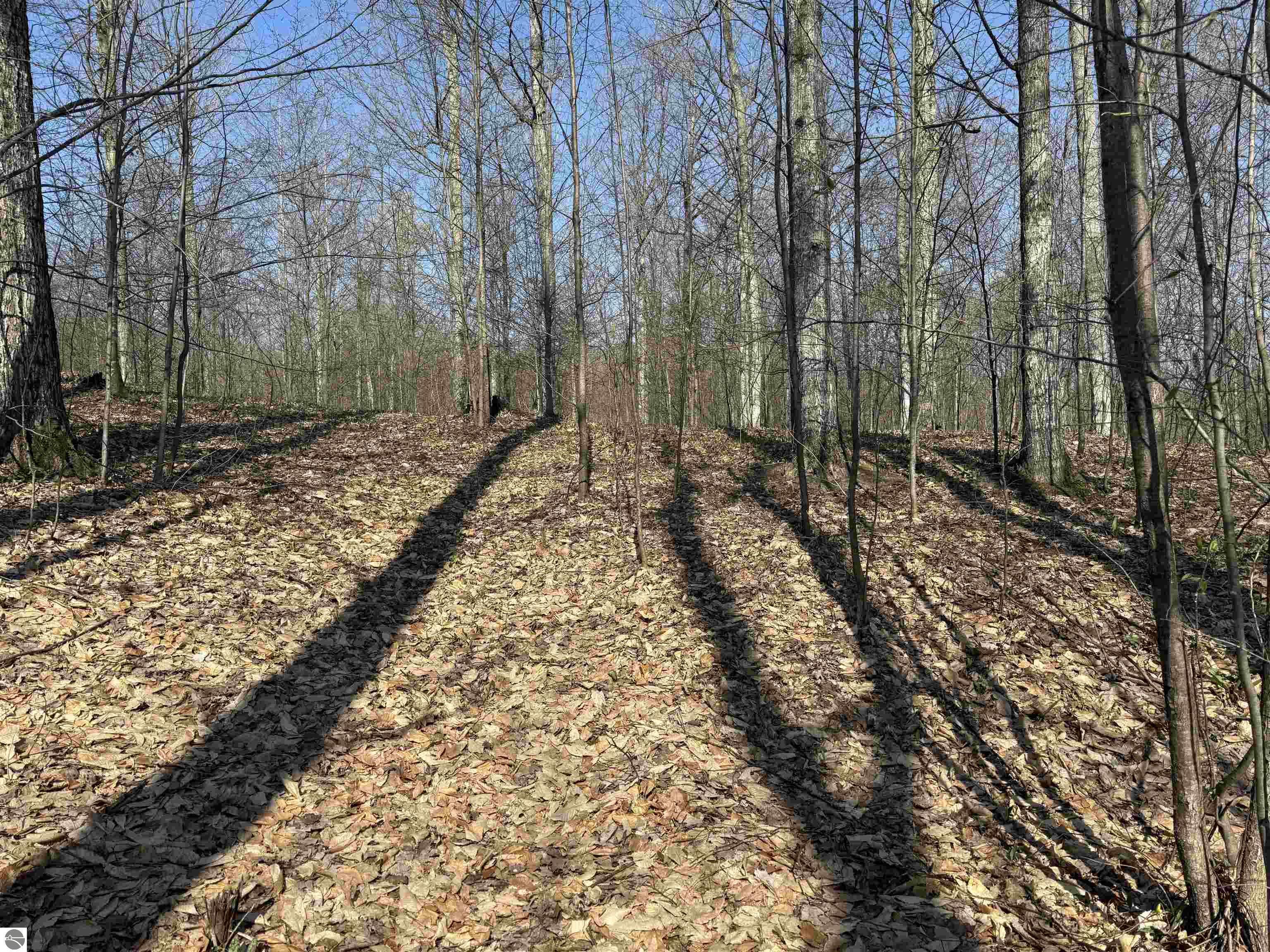 0000 W Timber View Trail