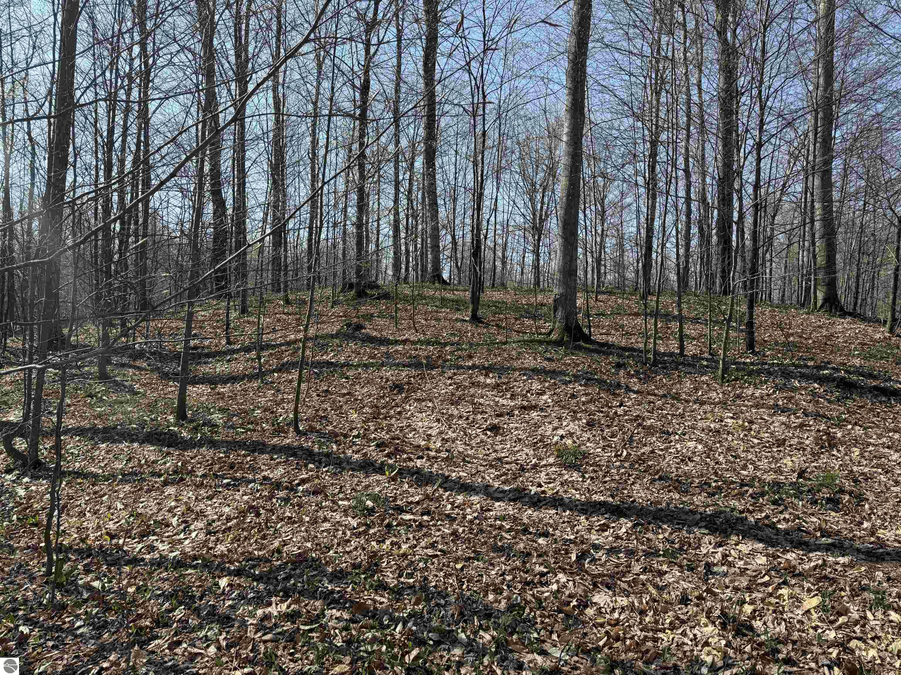 0000 W Timber View Trail