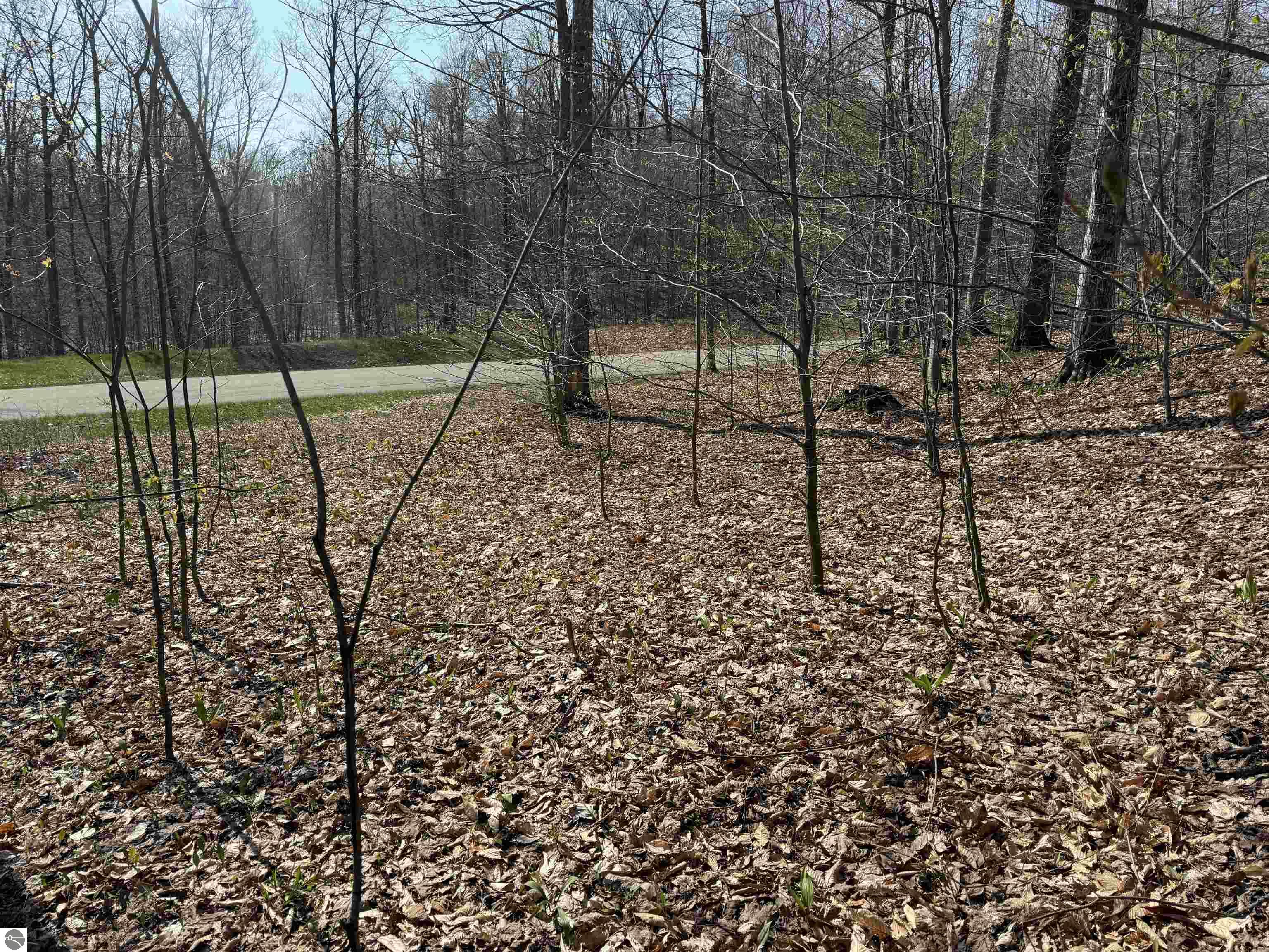 0000 W Timber View Trail