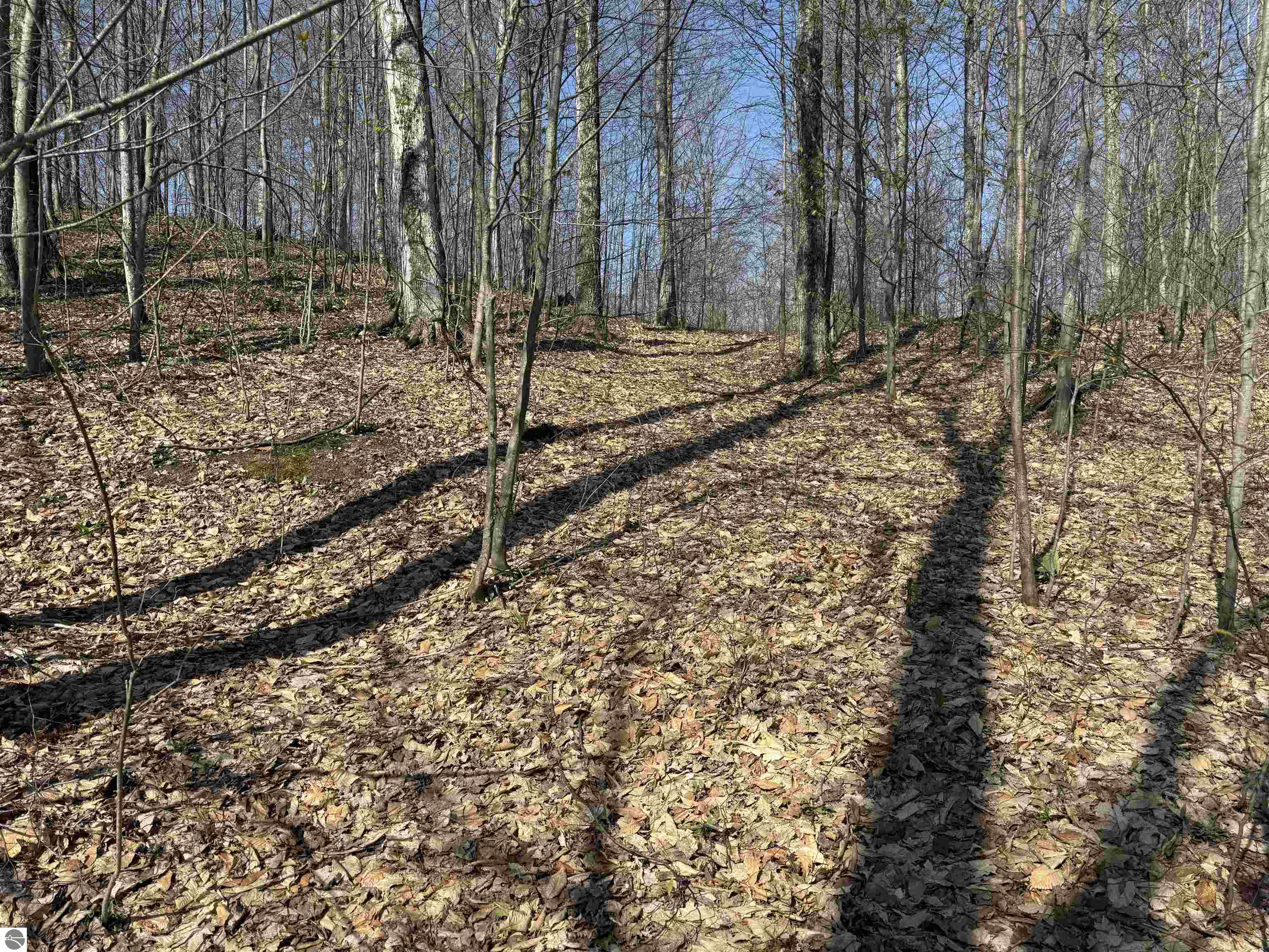 0000 W Timber View Trail